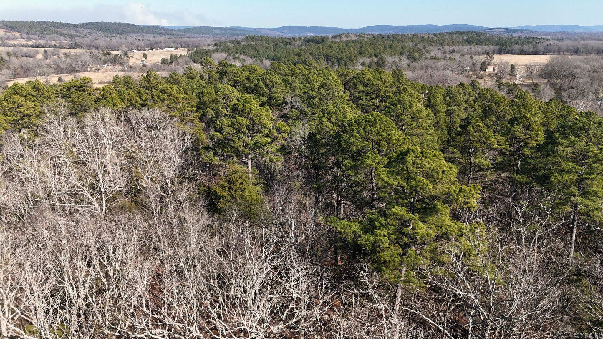 TBD Old Boles Road  Parks, AR
