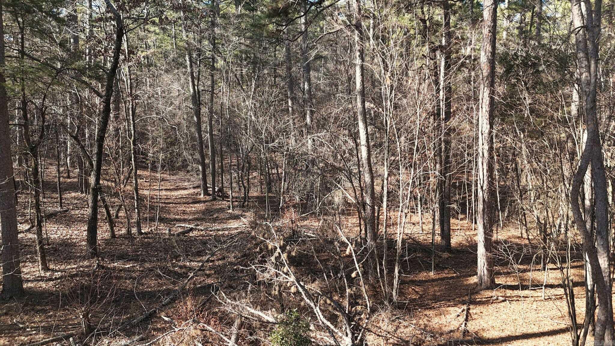 TBD Old Boles Road  Parks, AR