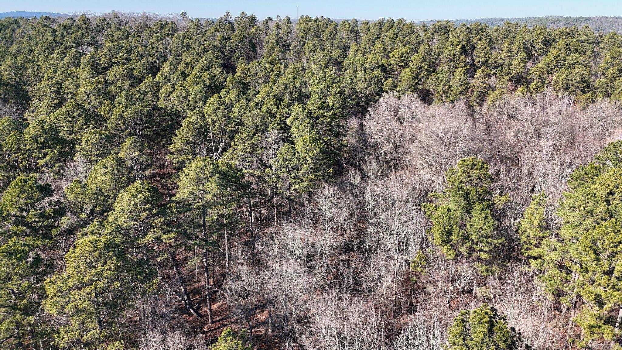 TBD Old Boles Road  Parks, AR