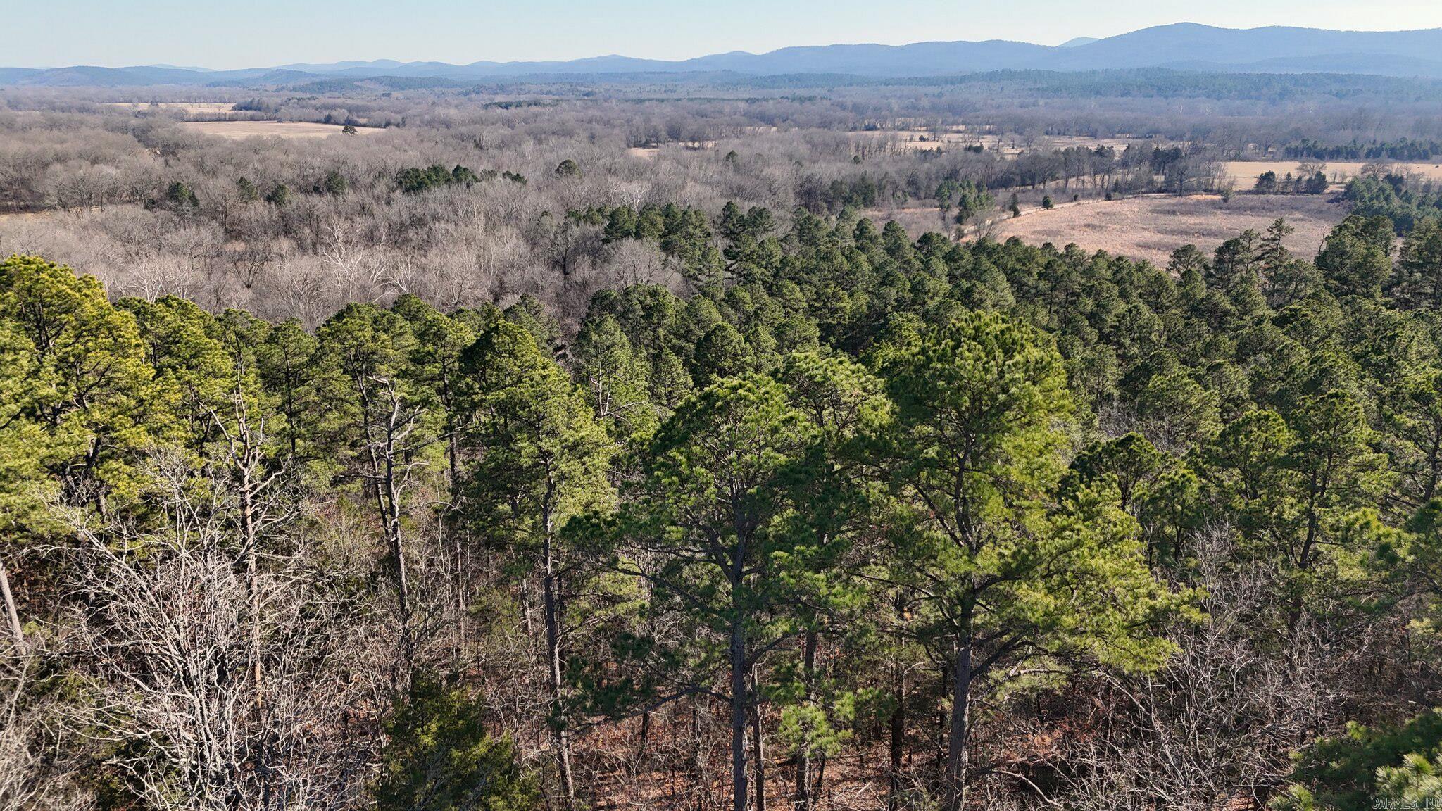 TBD Old Boles Road  Parks, AR