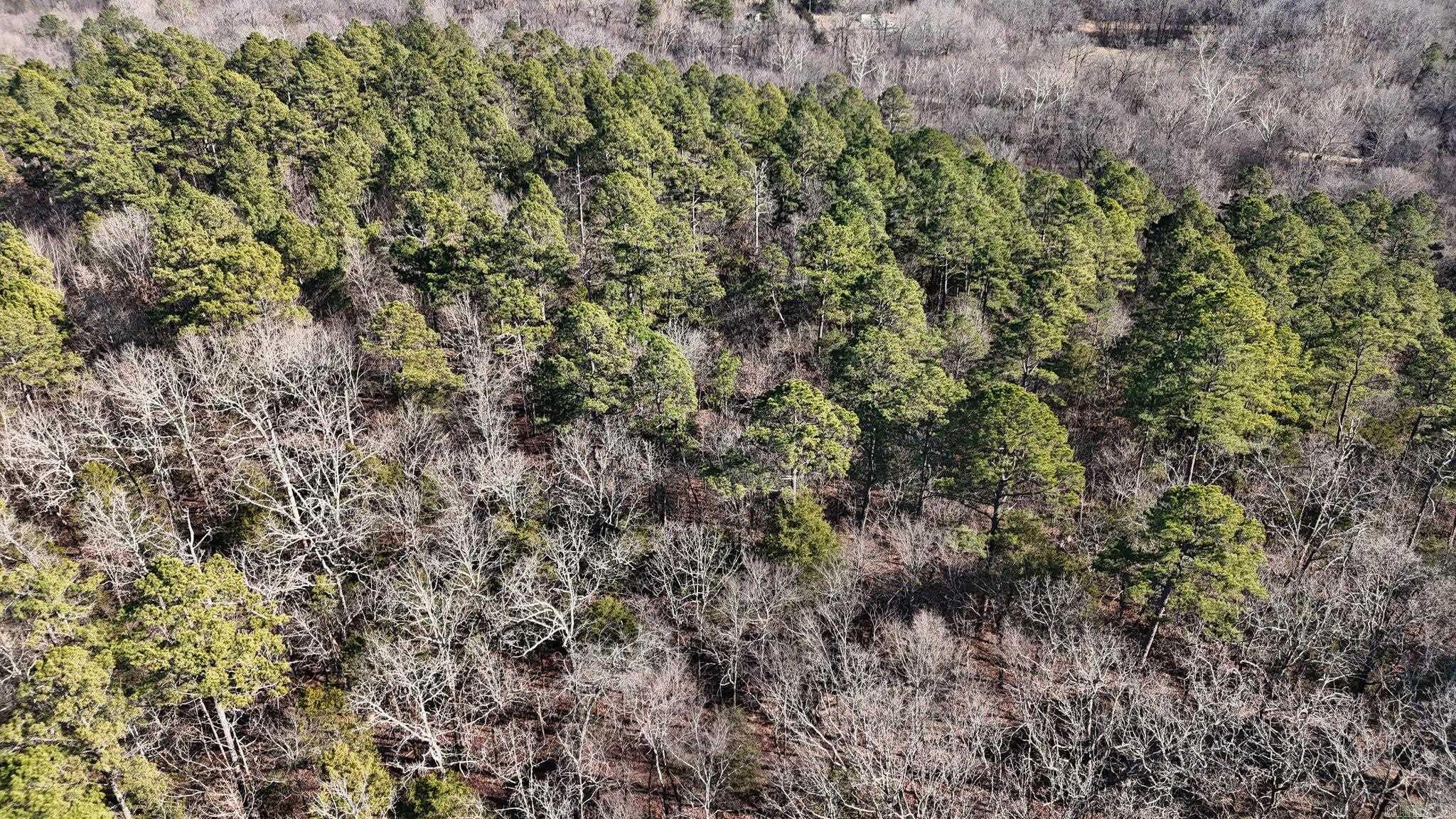 TBD Old Boles Road  Parks, AR