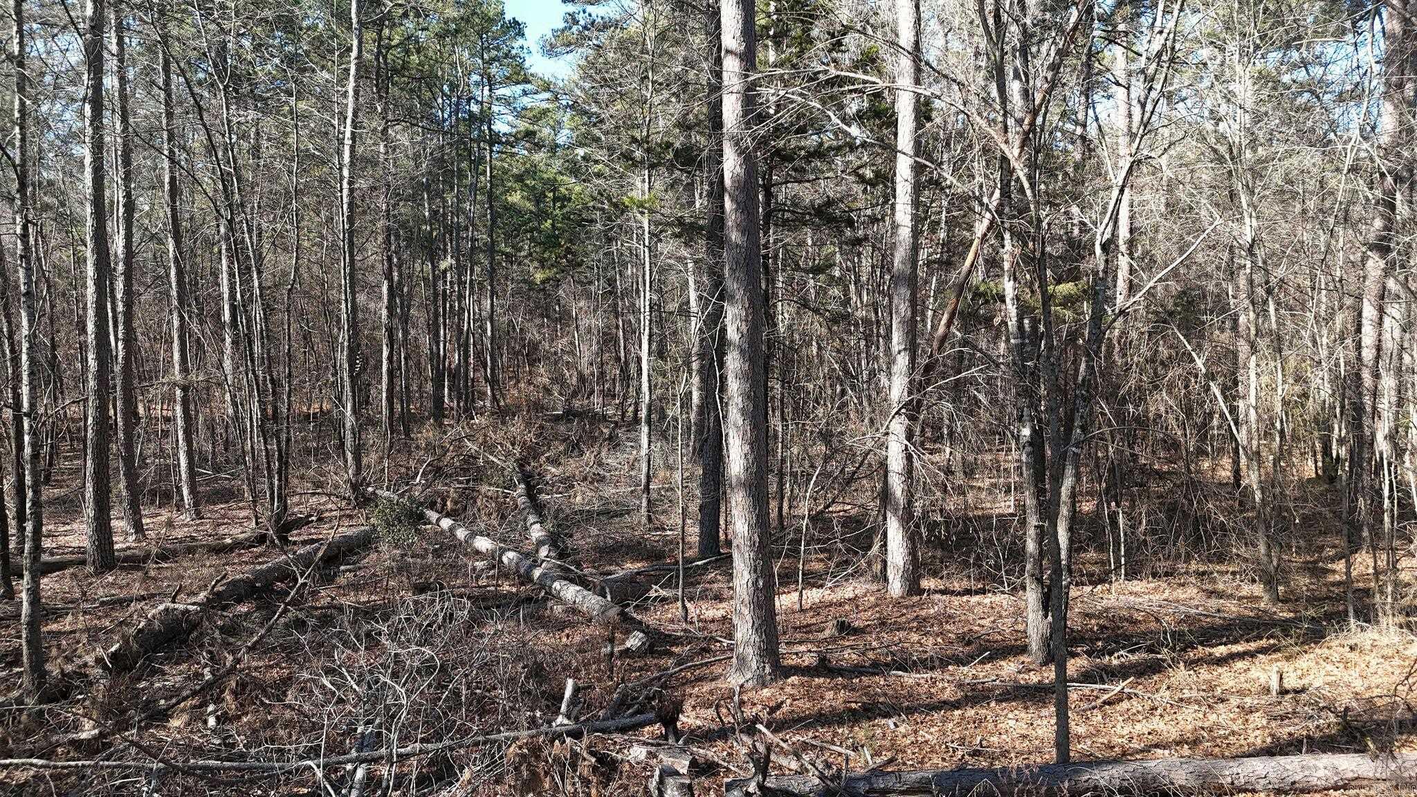 TBD Old Boles Road  Parks, AR