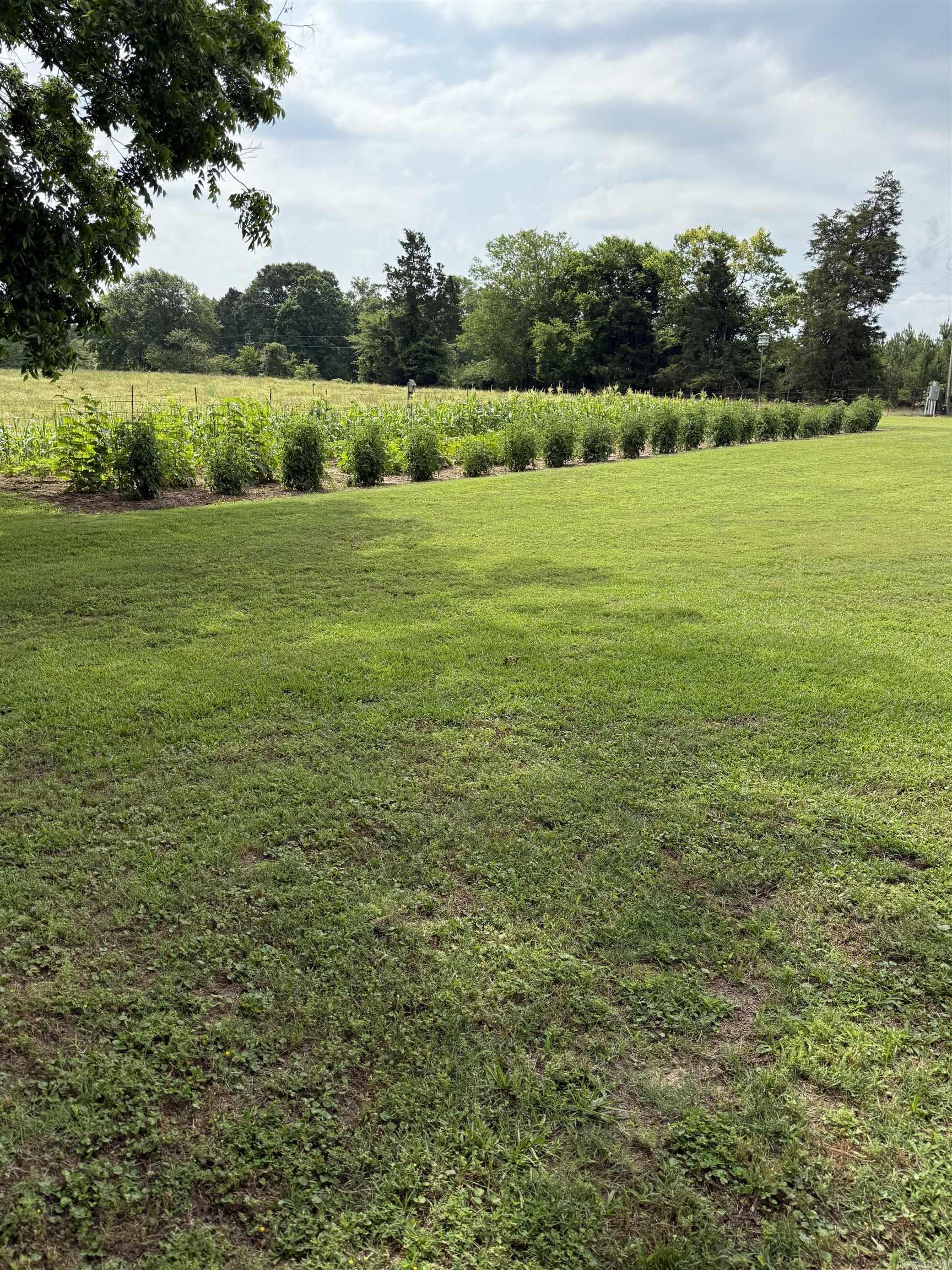 641 Hempstead 29 McCaskill, AR 71847