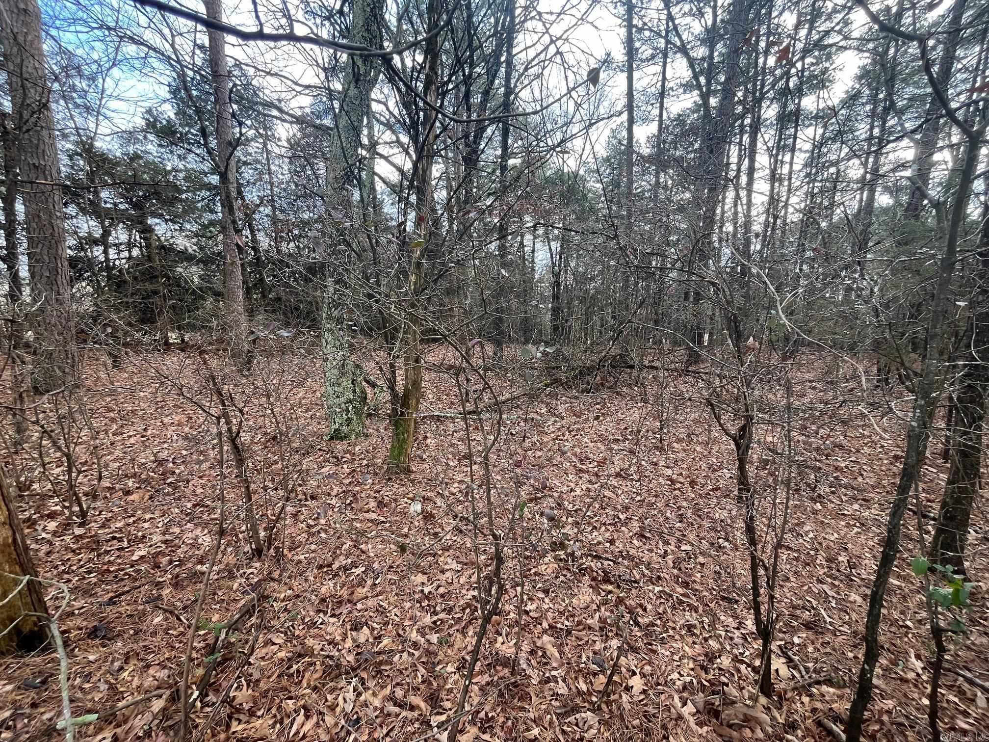 000 Spires Rd.  Damascus, AR