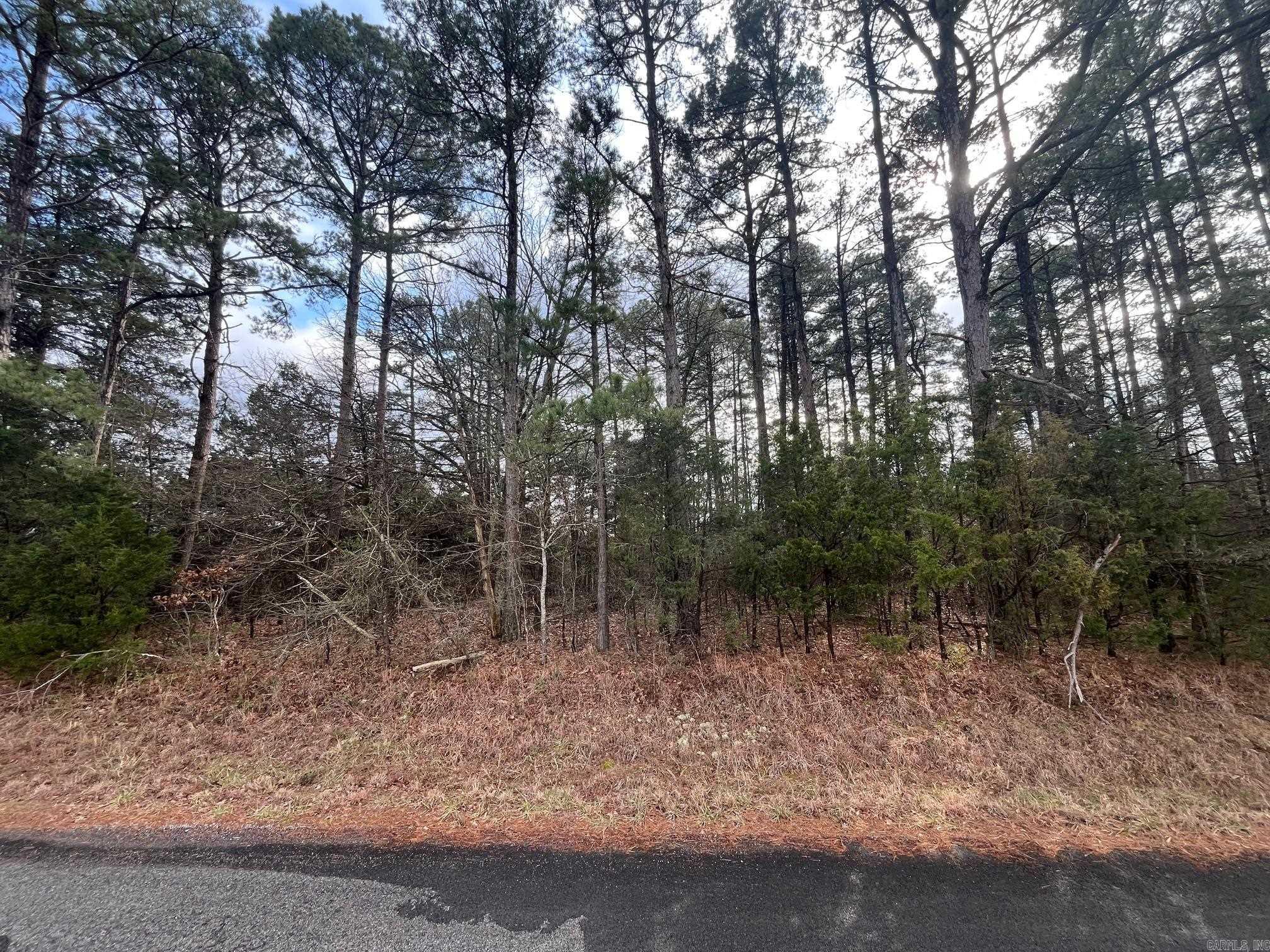 000 Spires Rd.  Damascus, AR