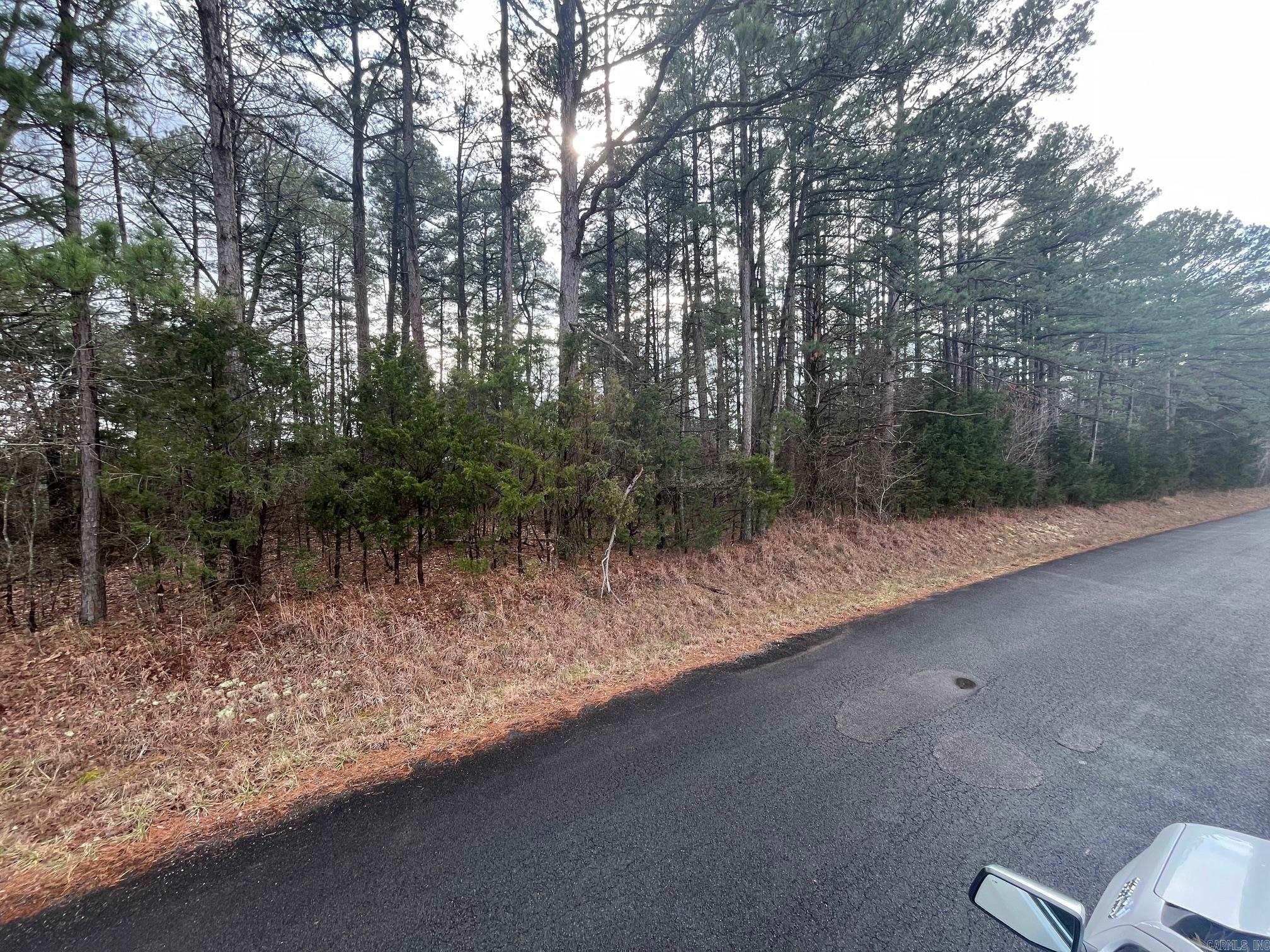 000 Spires Rd.  Damascus, AR