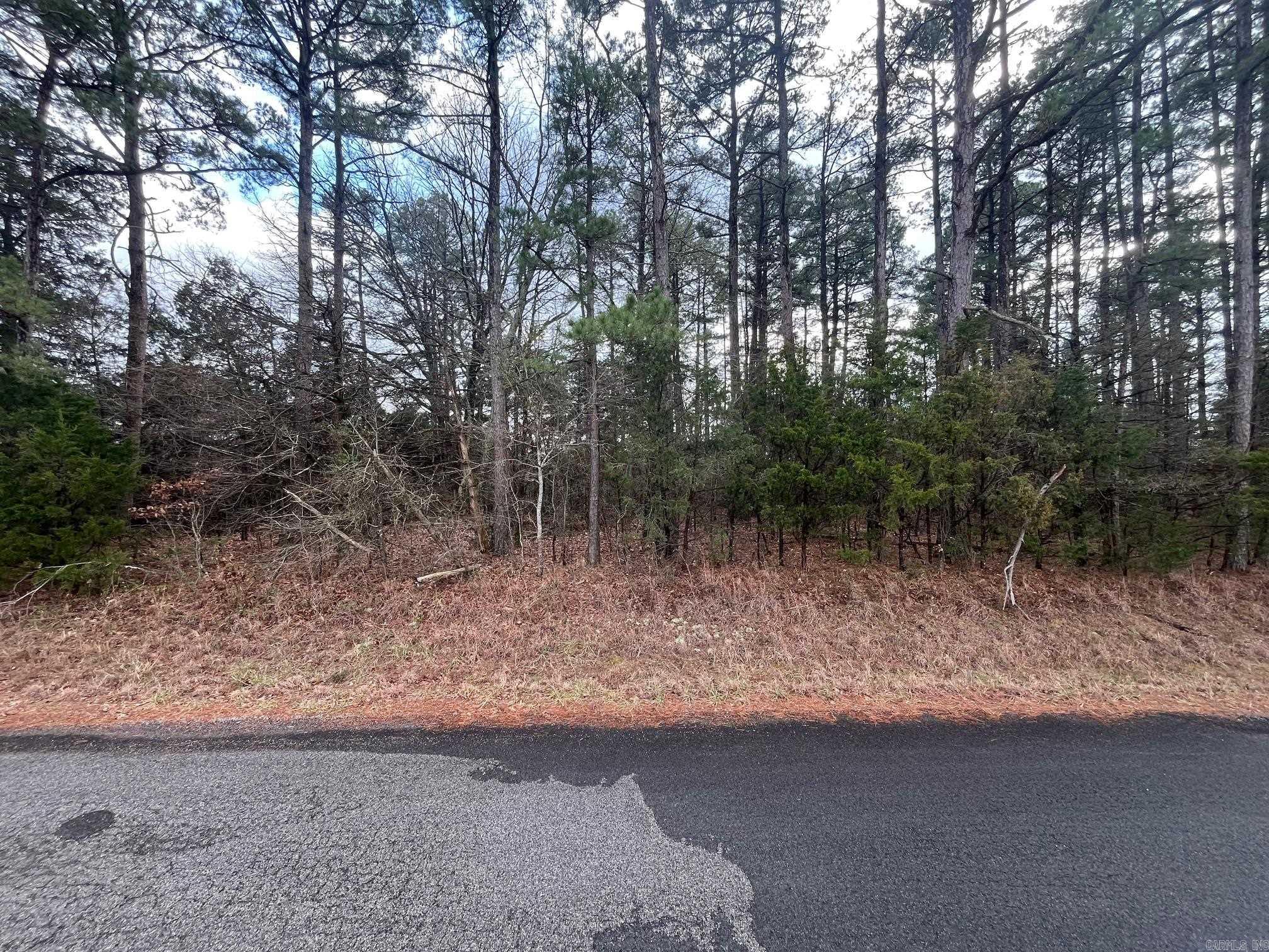 000 Spires Rd.  Damascus, AR