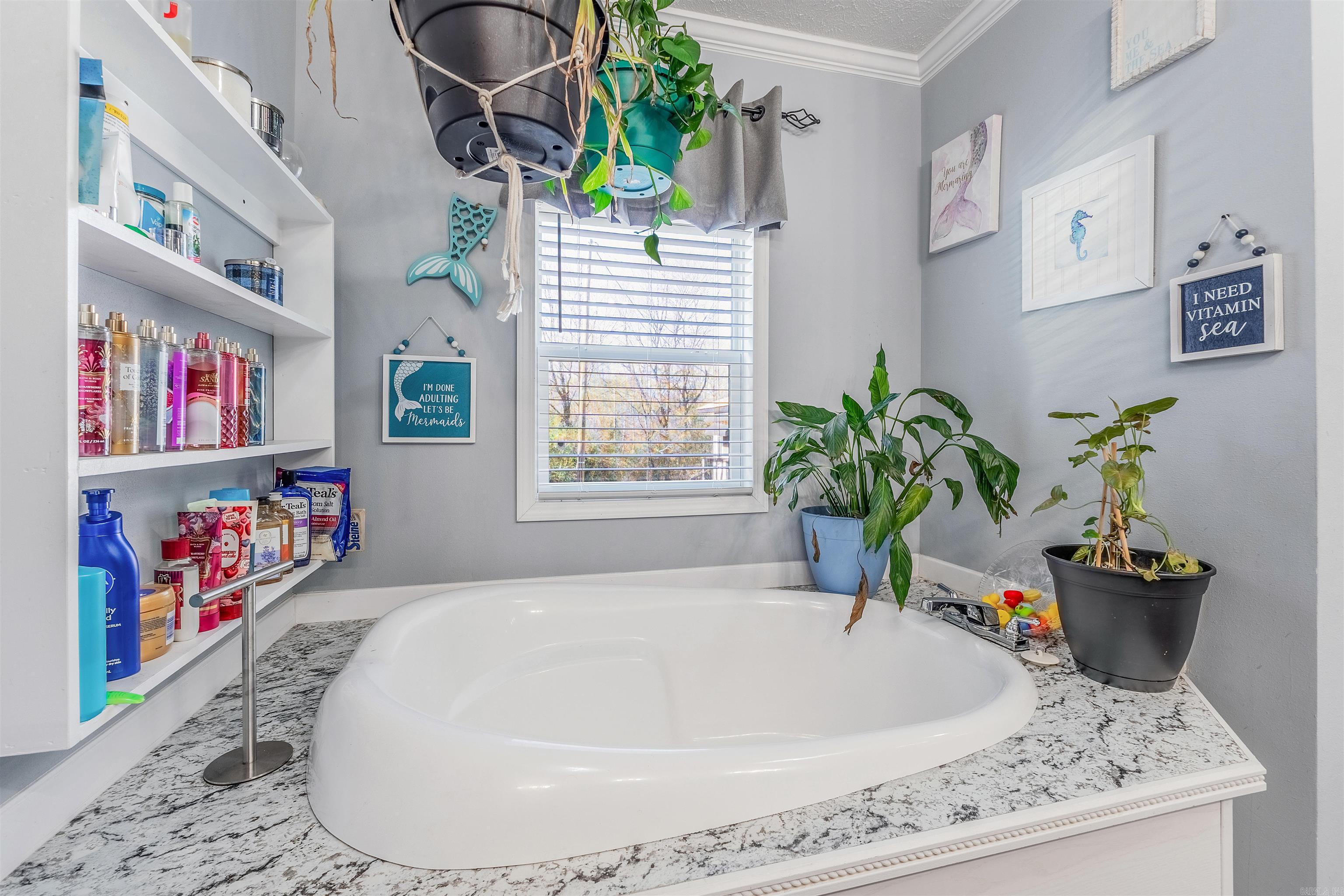 10 W Martin lane Greenbrier, AR 72058