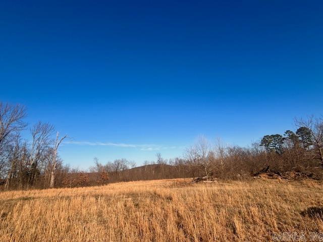  Bob Davis Mountain  Pleasant Grove, AR