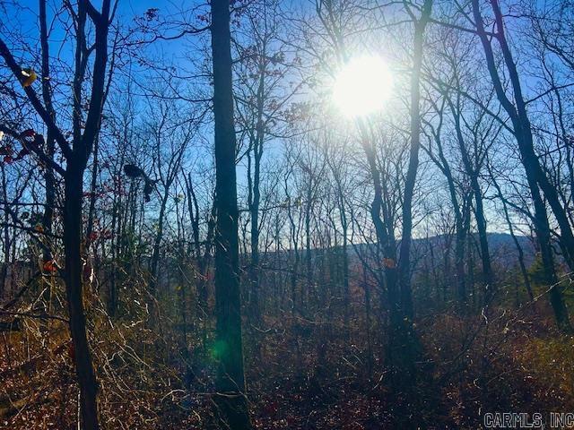  Bob Davis Mountain  Pleasant Grove, AR