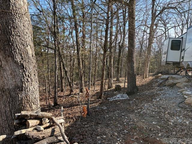 143 MC 2073  Lead Hill, AR