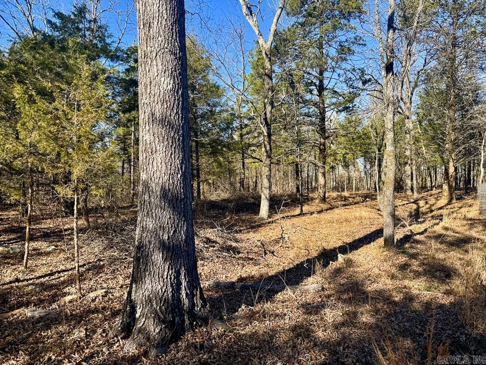 32876 14 Highway Marcella, AR 72555