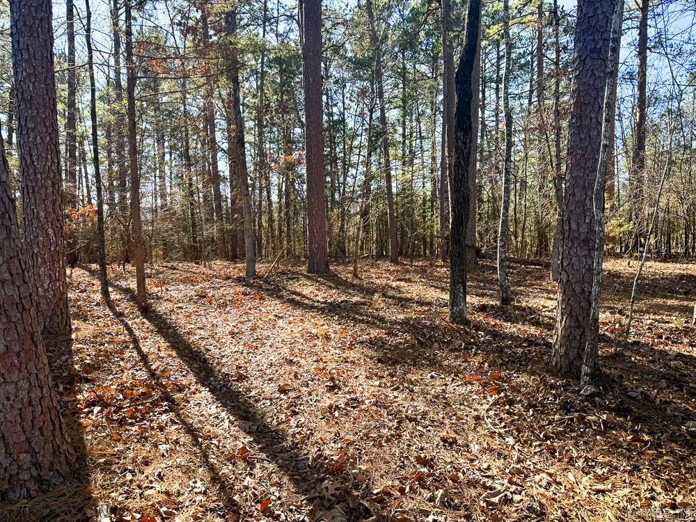 32876 14 Highway Marcella, AR 72555