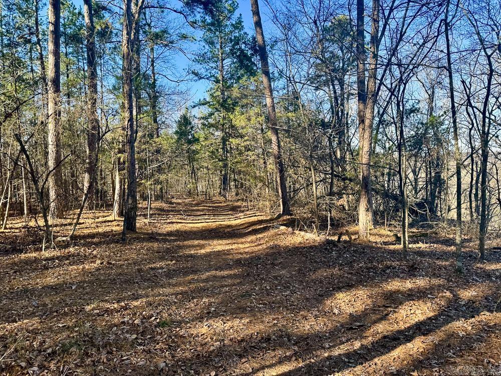 32876 14 Highway Marcella, AR 72555