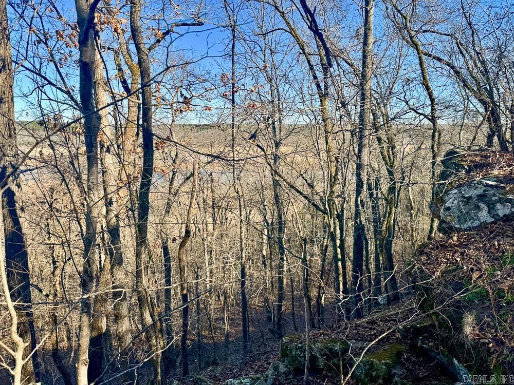 32876 14 Highway Marcella, AR 72555