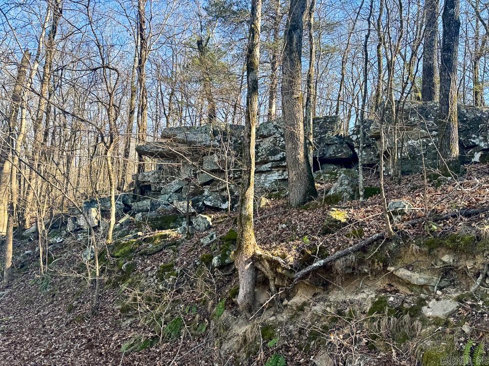 32876 14 Highway Marcella, AR 72555