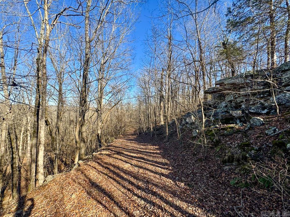 32876 14 Highway Marcella, AR 72555