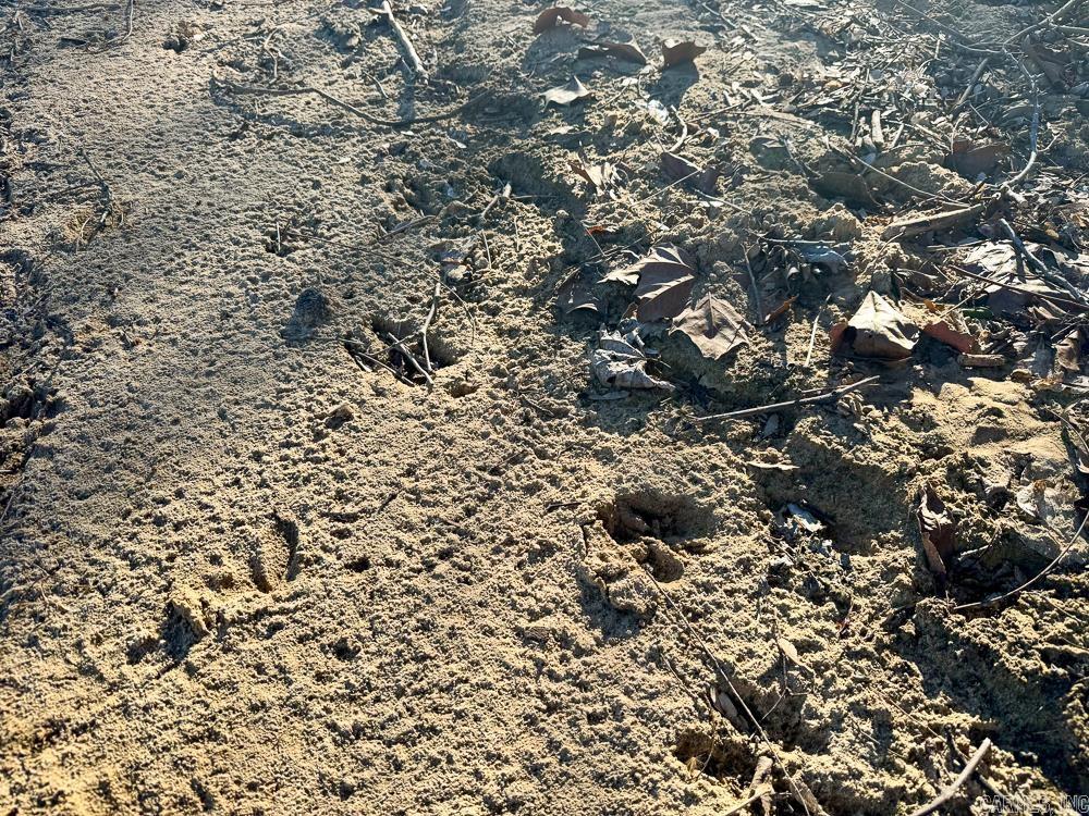 32876 14 Highway Marcella, AR 72555