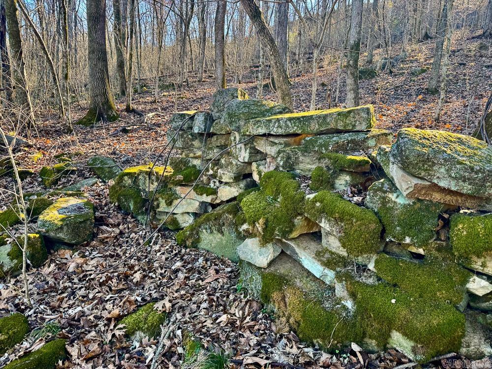 32876 14 Highway Marcella, AR 72555