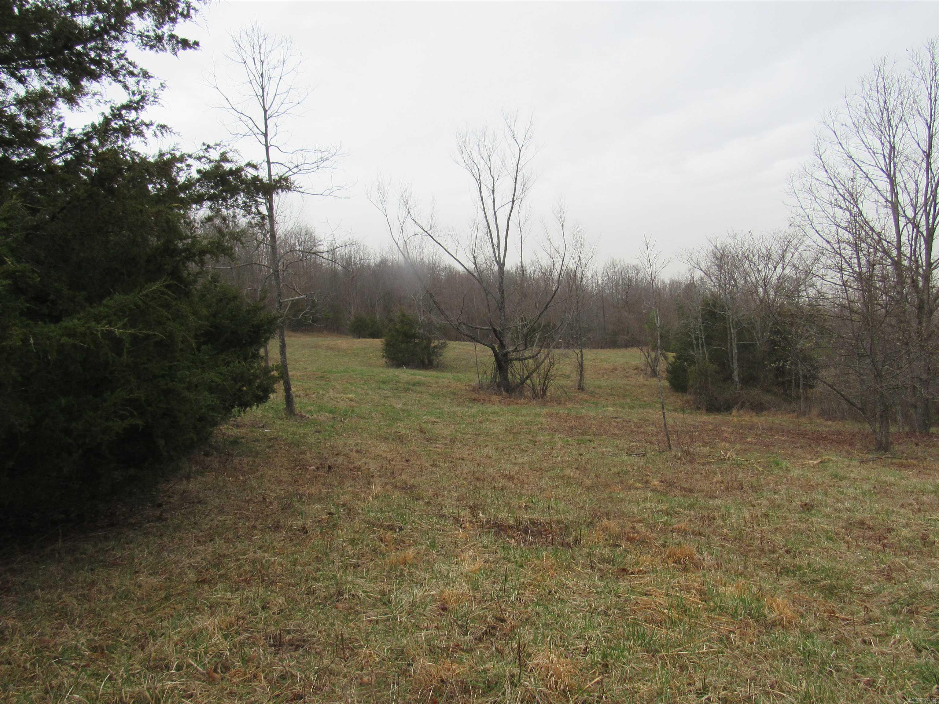 383 Arkansas 123 Lot 7 on Lurton Loop Lurton, AR