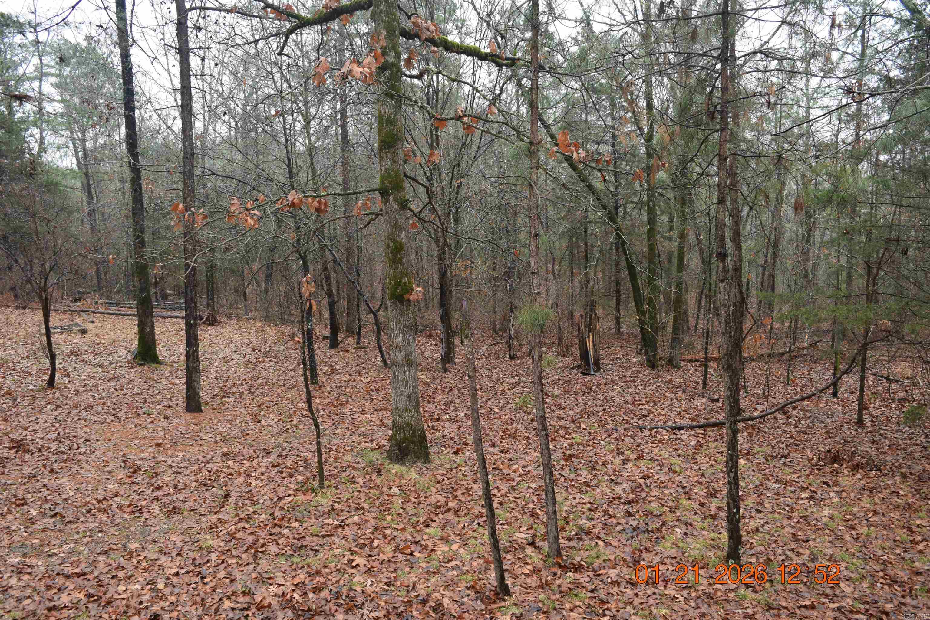 4777 Airport Road Pearcy, AR 71964