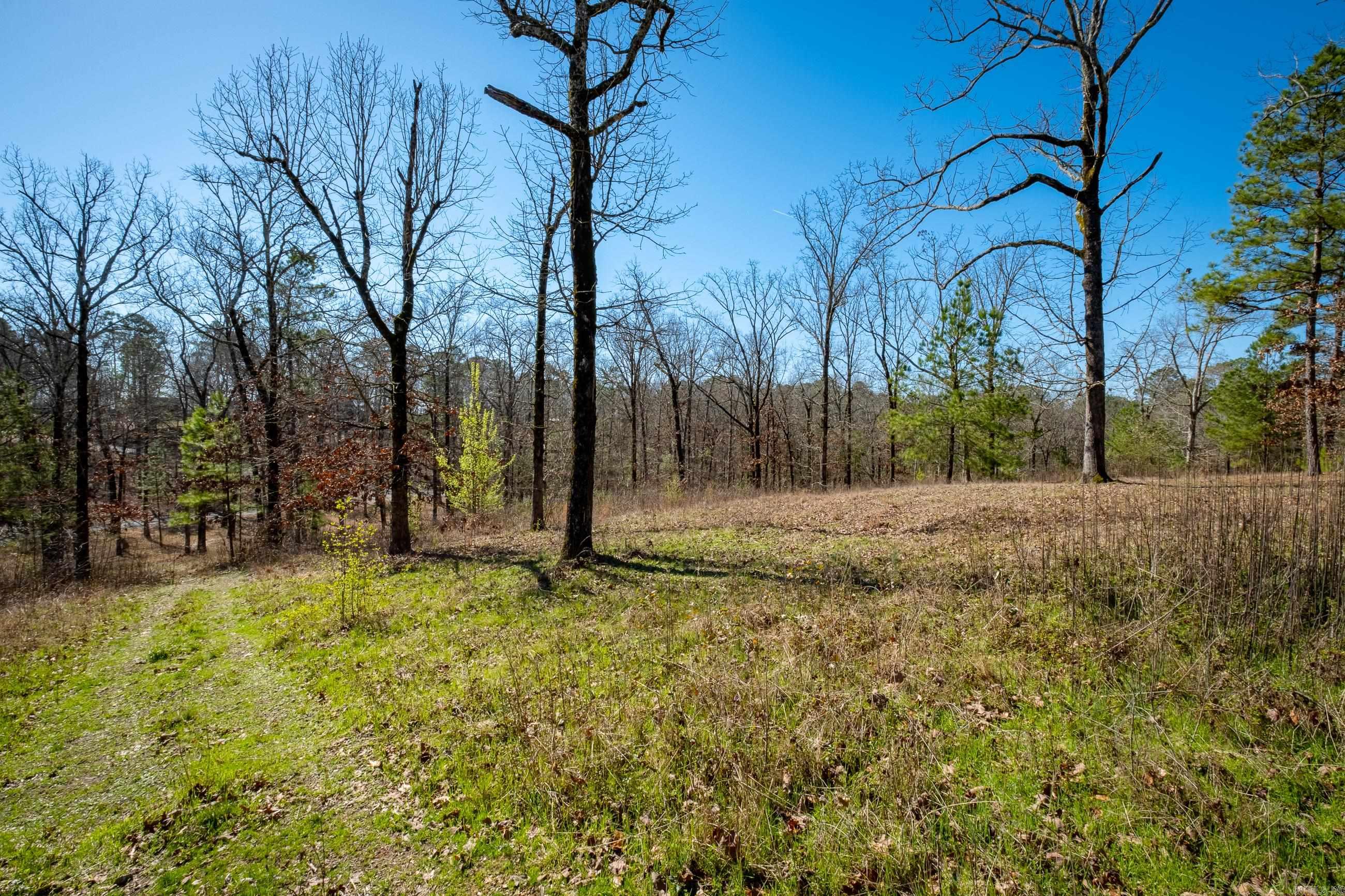 00 Woodstock Drive  Hot Springs, AR