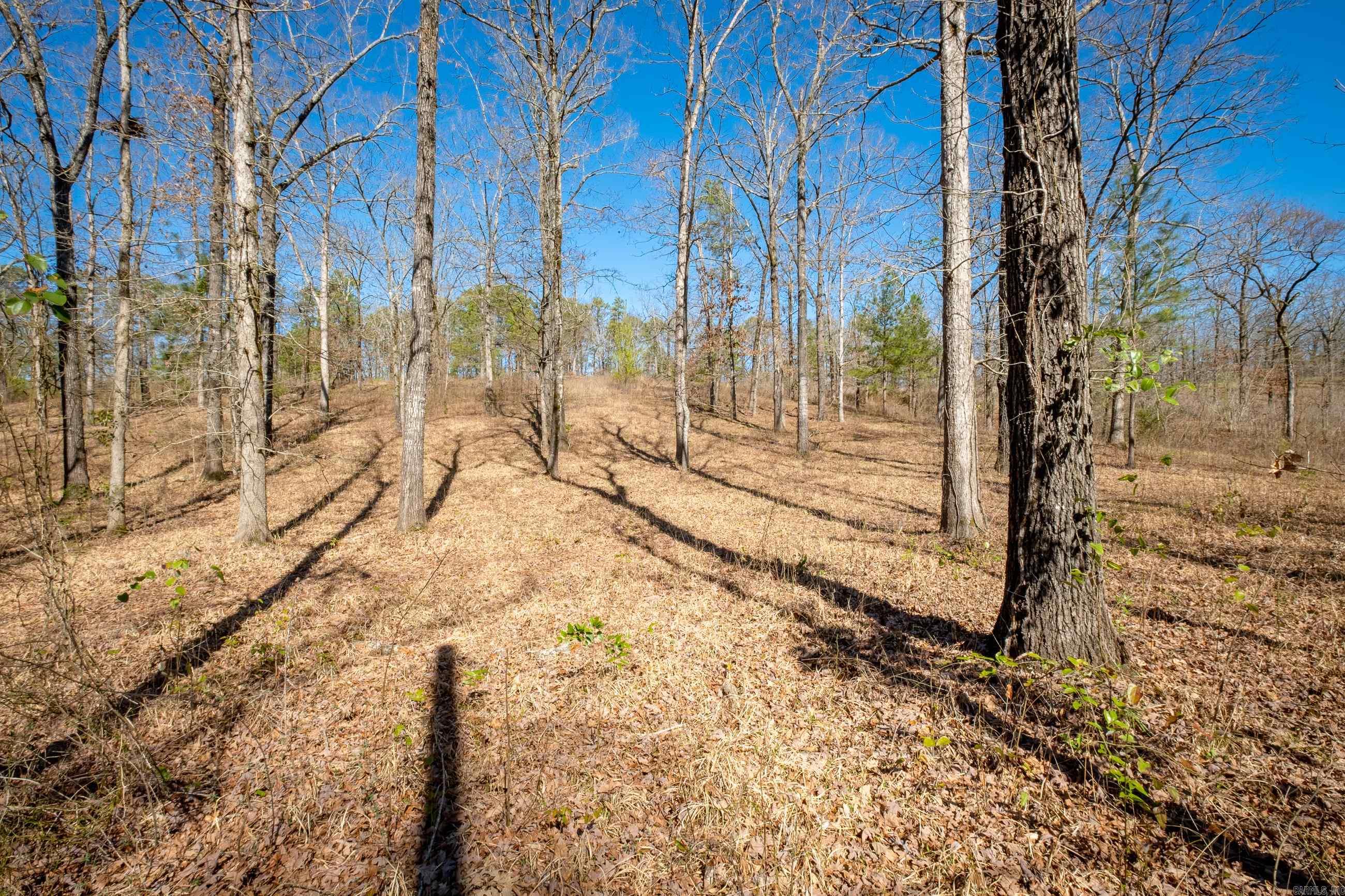 00 Woodstock Drive  Hot Springs, AR