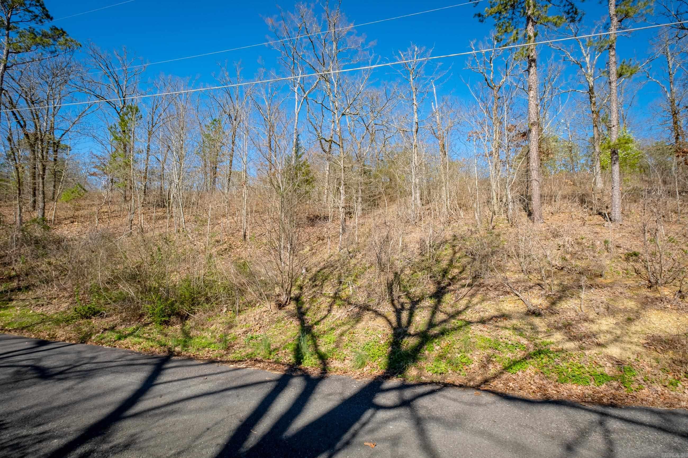 00 Woodstock Drive  Hot Springs, AR