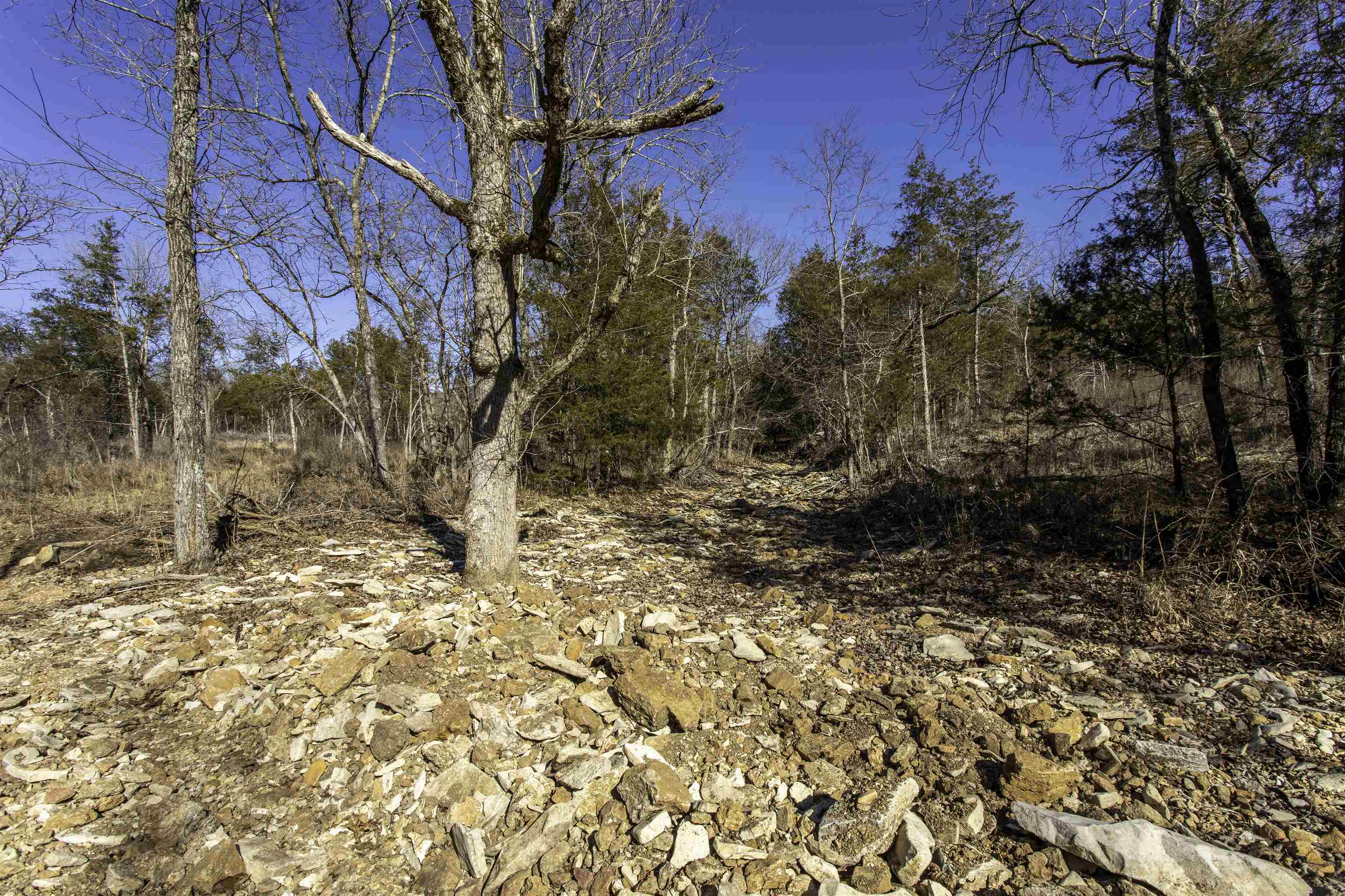 000 Buck Ridge  Williford, AR