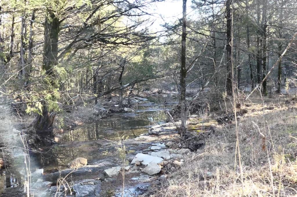 000 Buck Ridge  Williford, AR