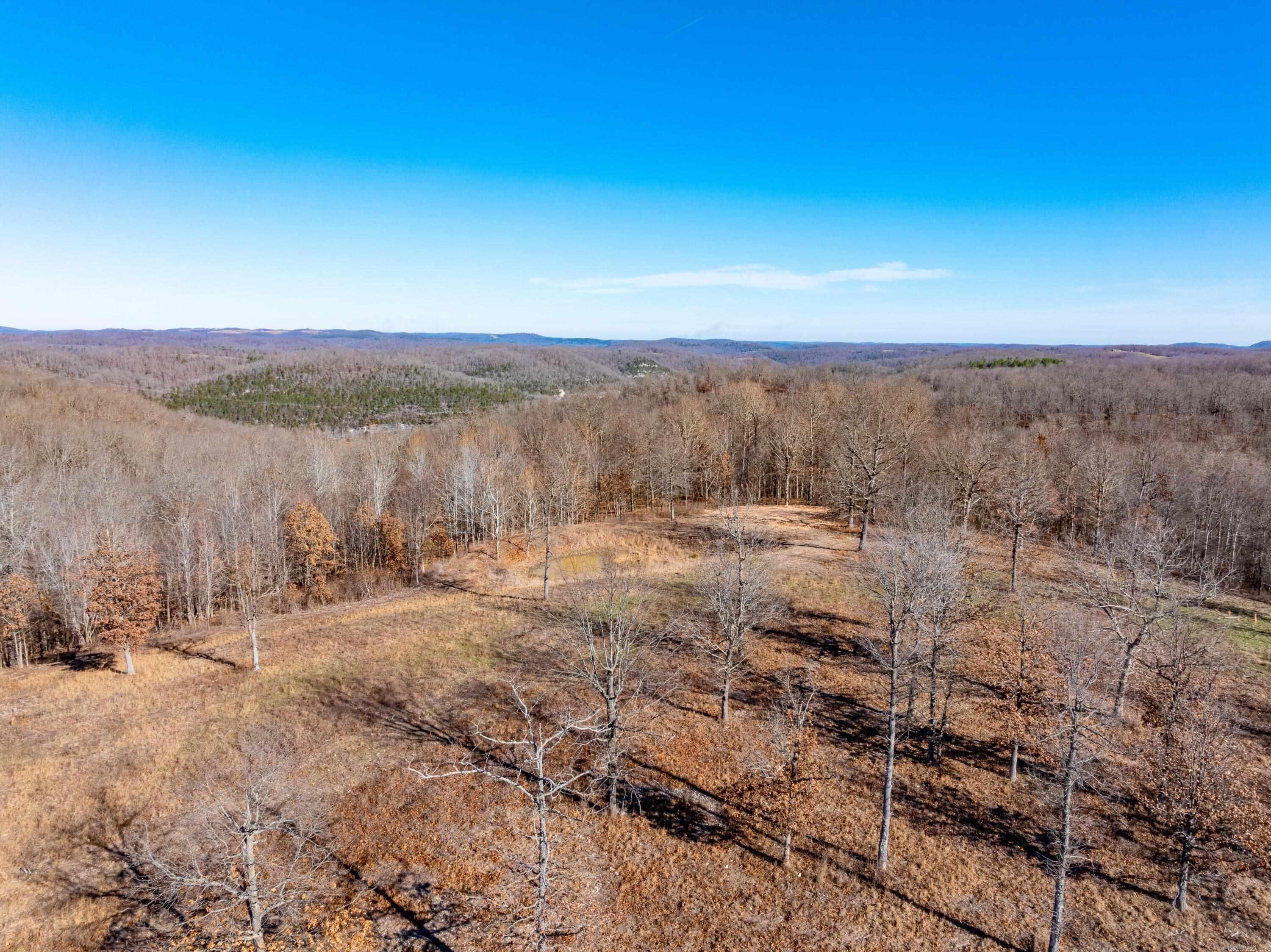 0 Joe Bright Cuttoff Road  Mountain View, AR