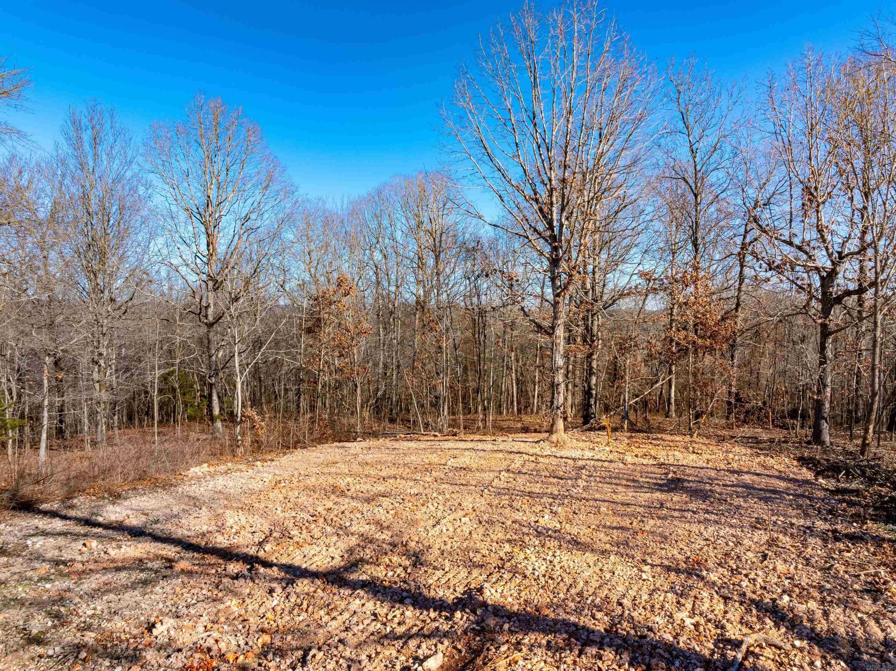 0 Joe Bright Cuttoff Road  Mountain View, AR