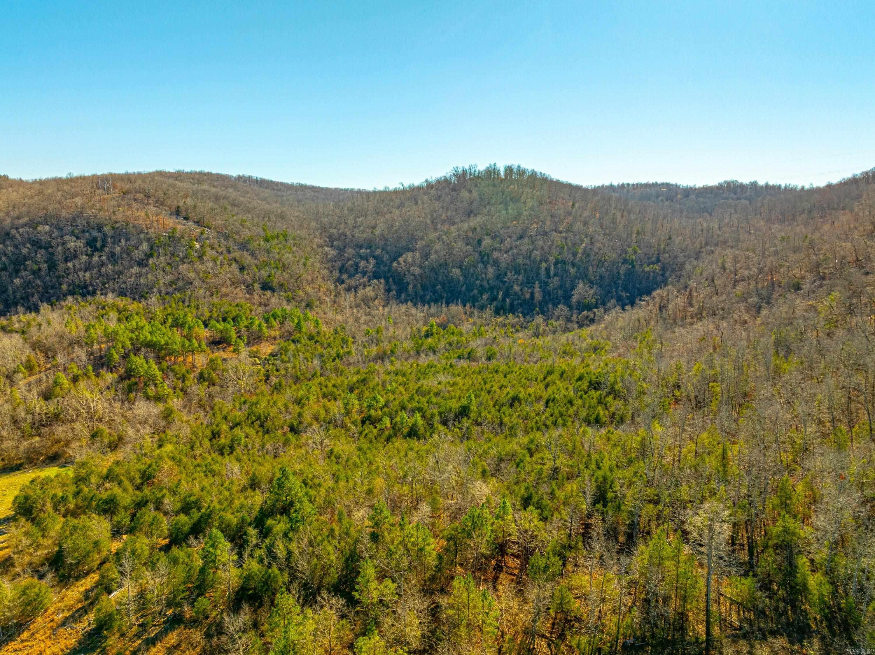 0 Joe Bright Cuttoff Road  Mountain View, AR