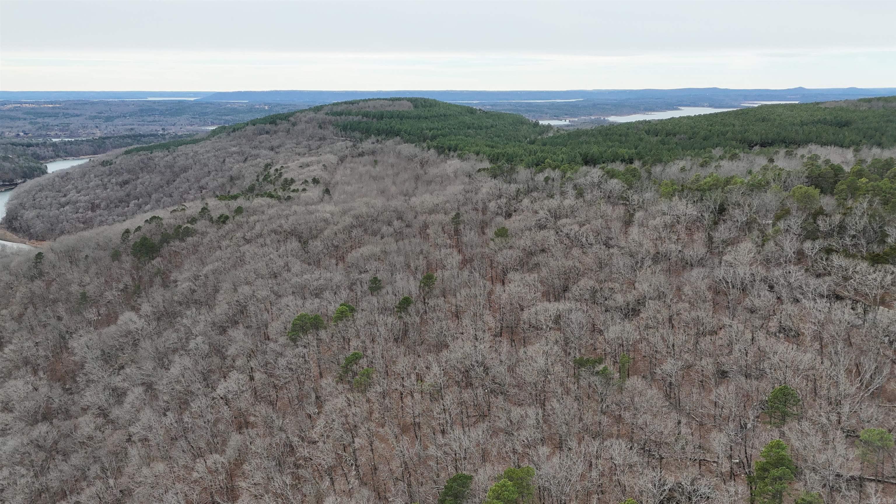 000 Old Brewer Rd  Edgemont, AR