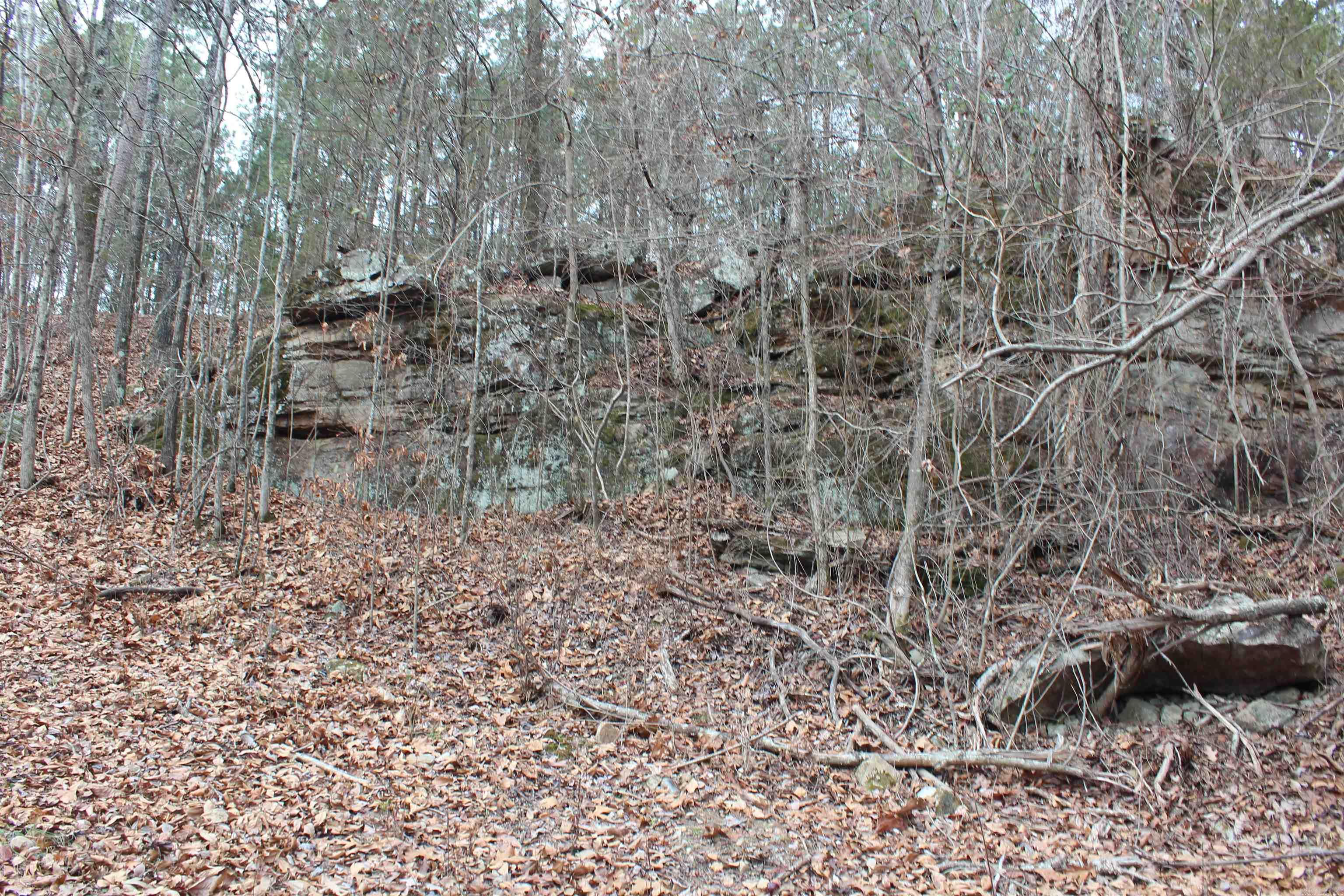 000 Old Brewer Rd  Edgemont, AR