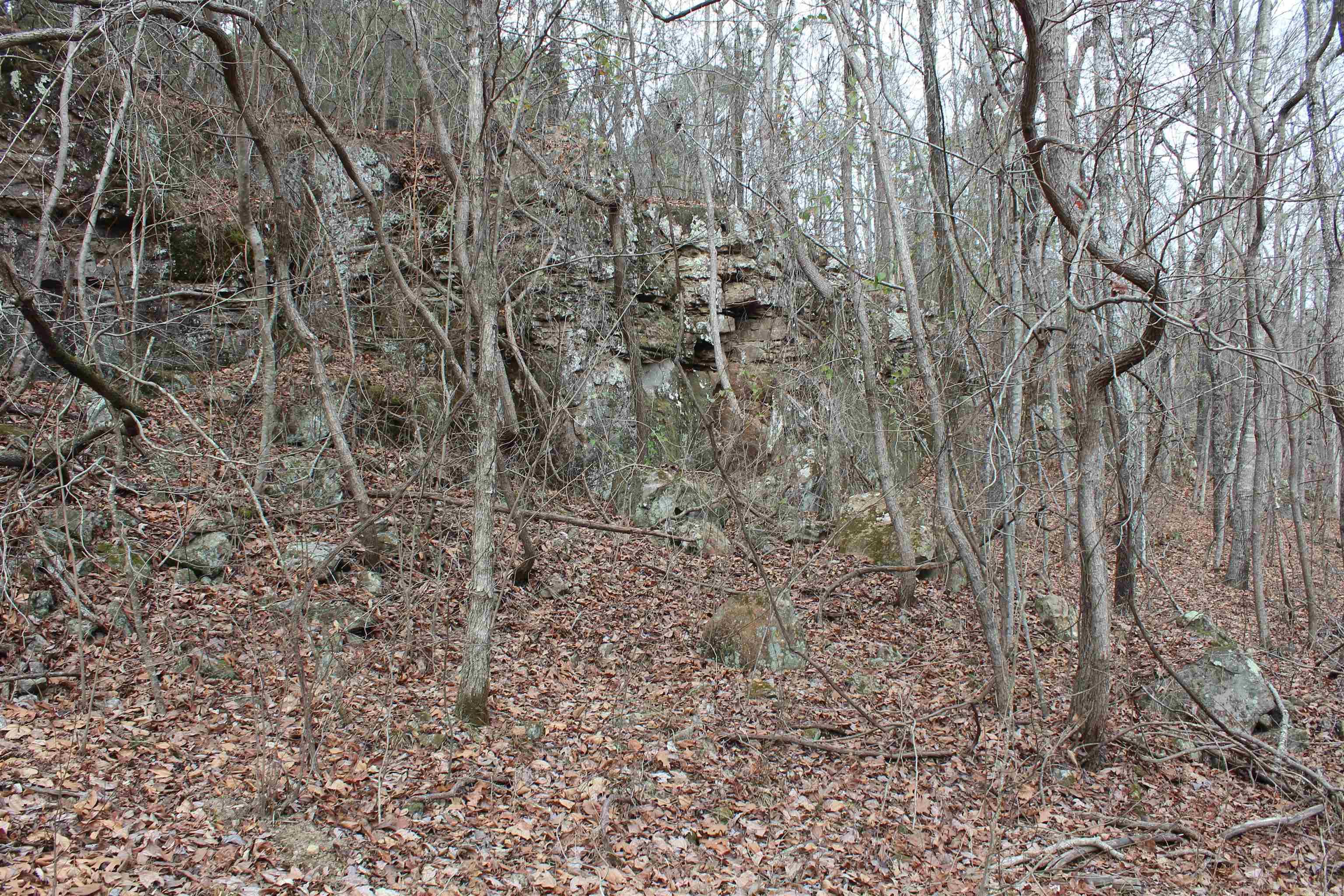 000 Old Brewer Rd  Edgemont, AR