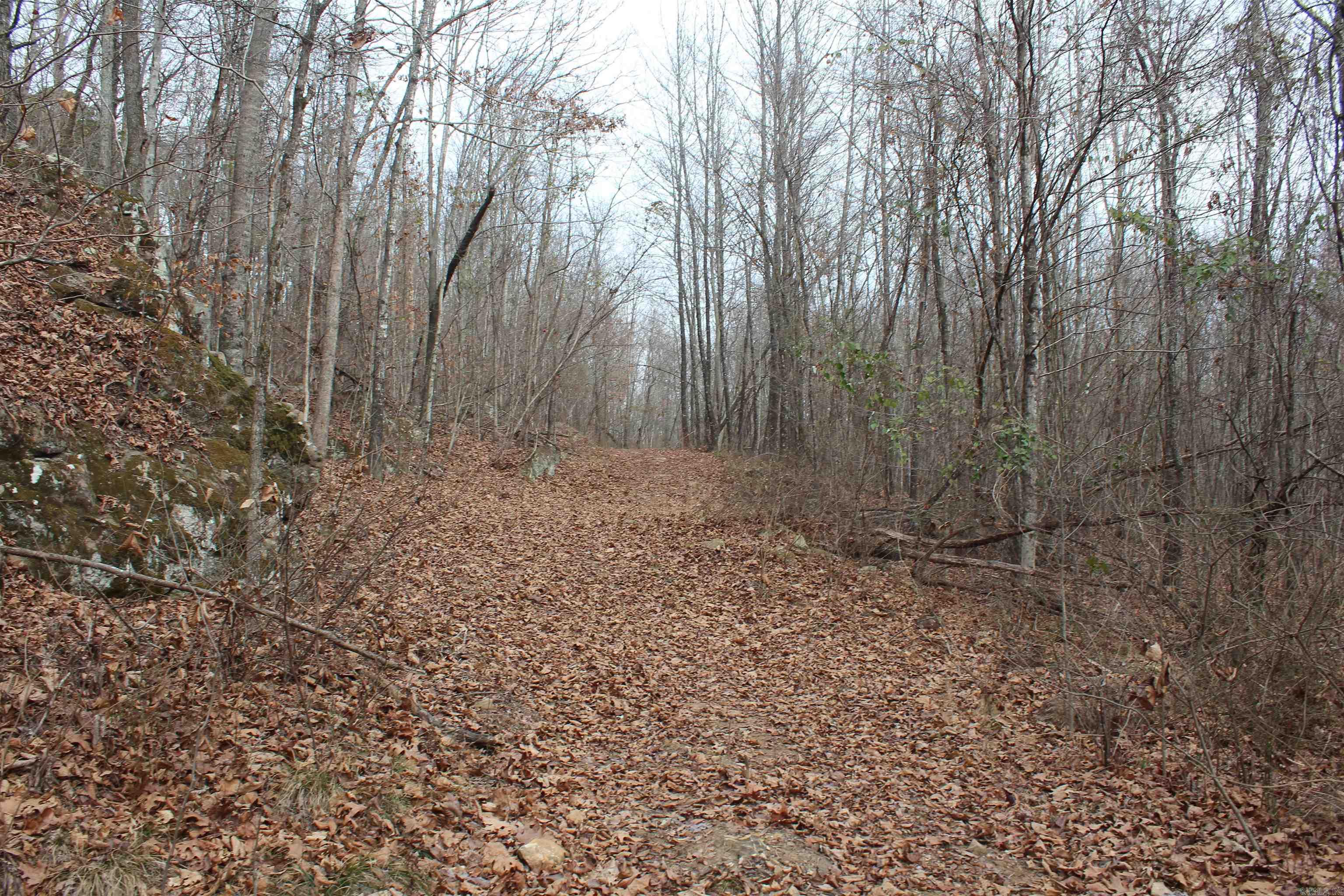 000 Old Brewer Rd  Edgemont, AR