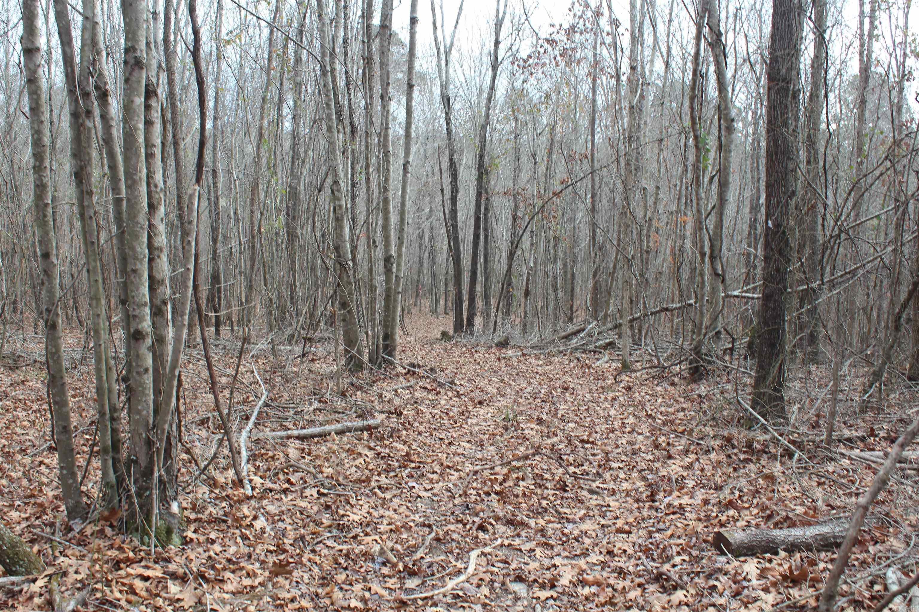 000 Old Brewer Rd  Edgemont, AR