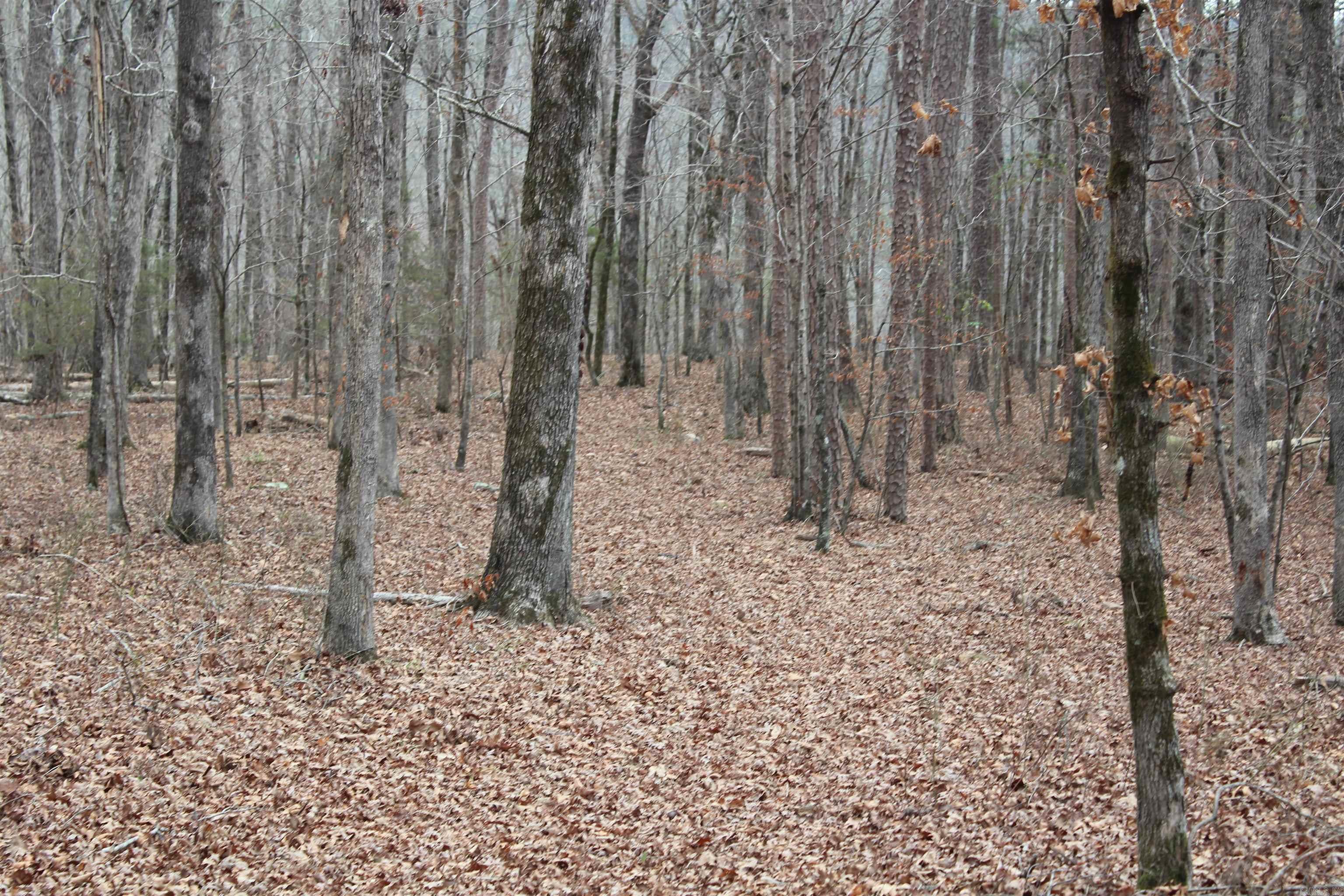 000 Old Brewer Rd  Edgemont, AR