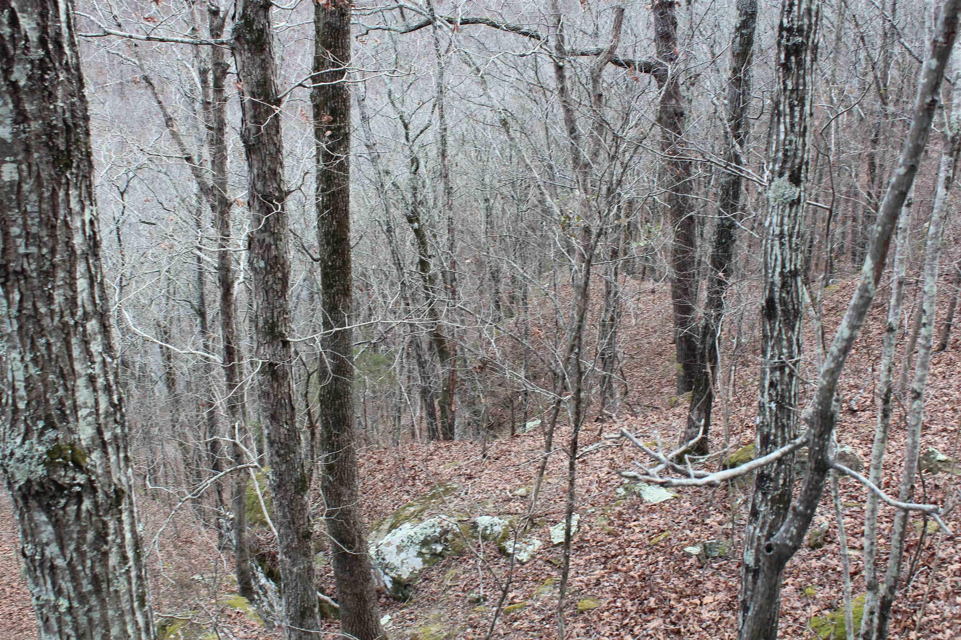 000 Old Brewer Rd  Edgemont, AR