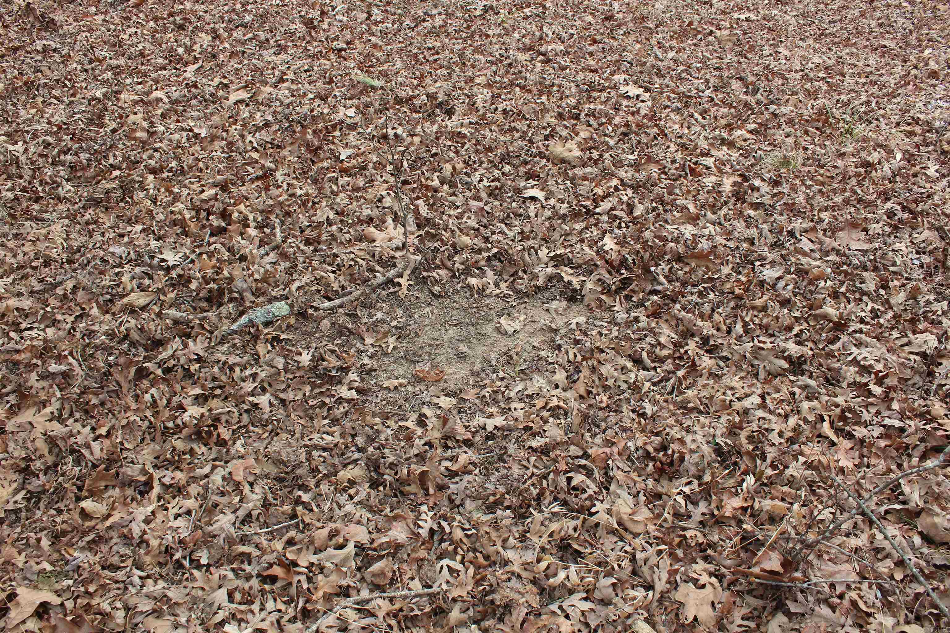 000 Old Brewer Rd  Edgemont, AR