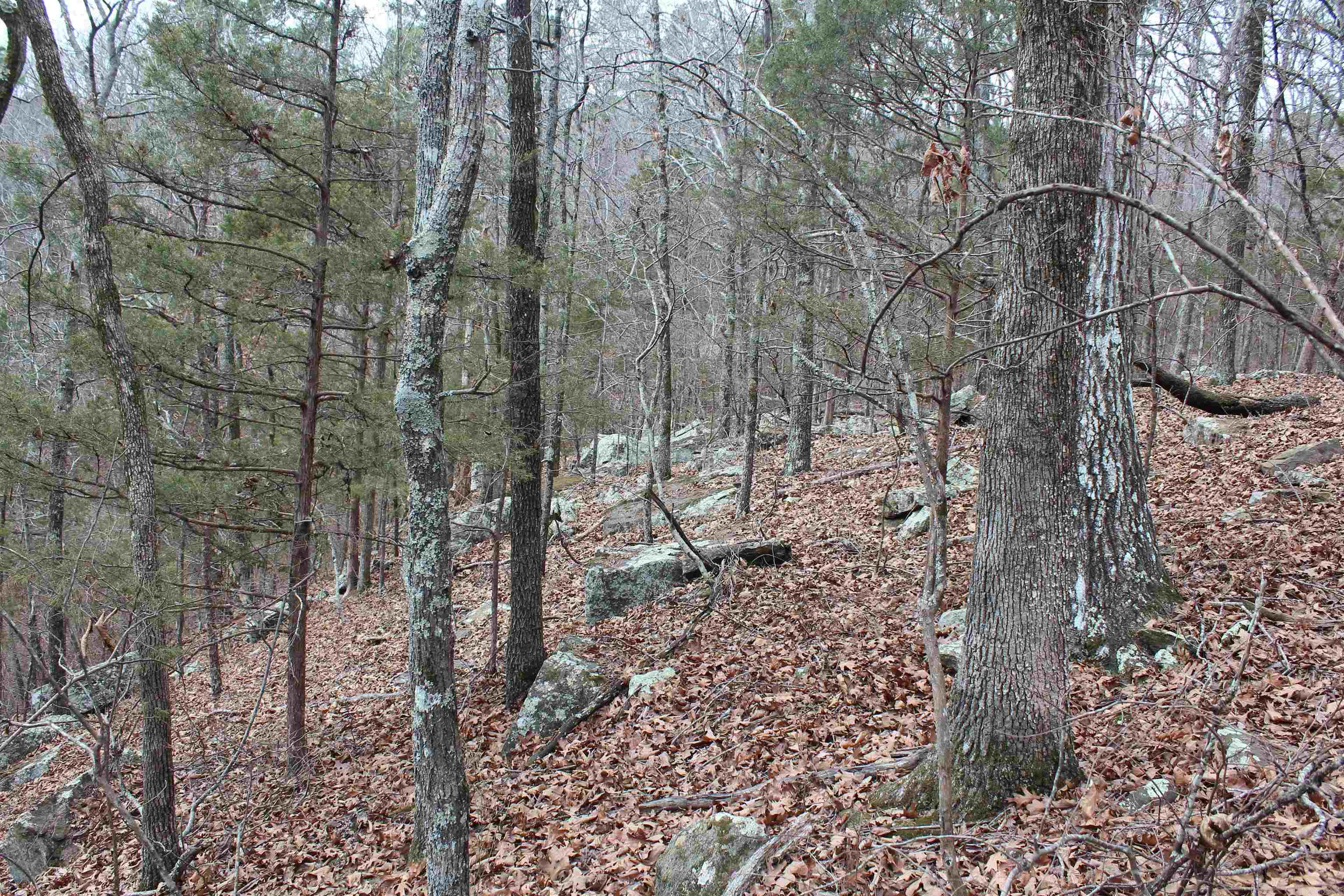 000 Old Brewer Rd  Edgemont, AR