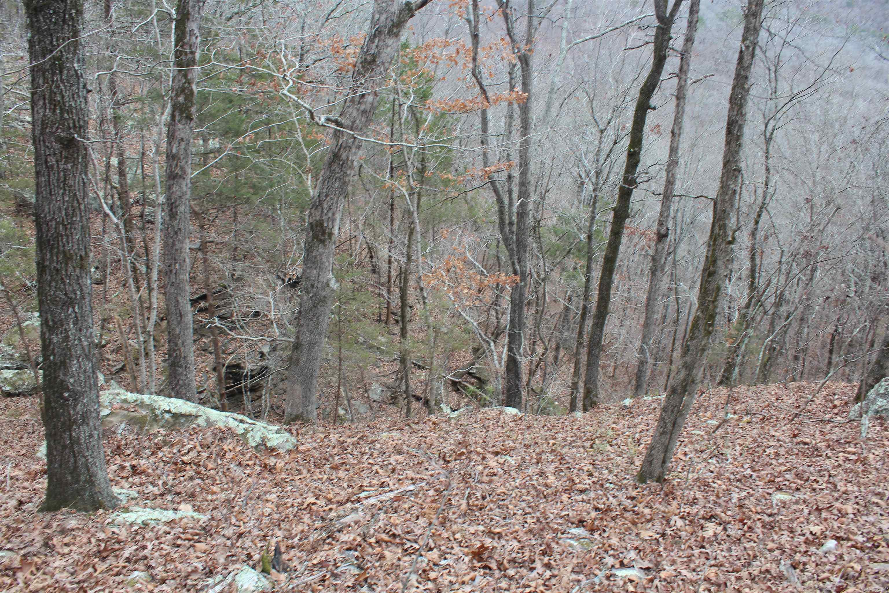 000 Old Brewer Rd  Edgemont, AR