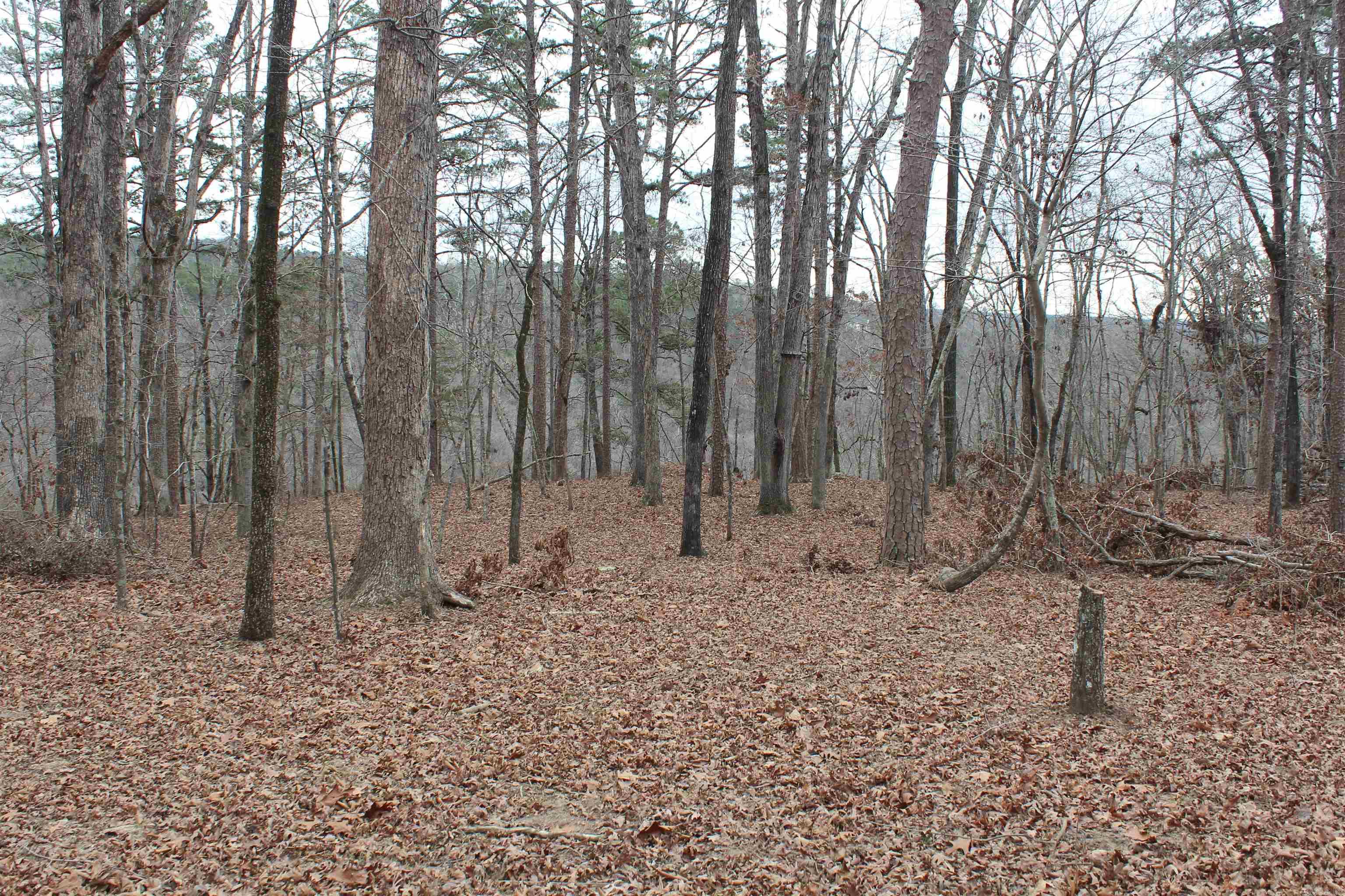 000 Old Brewer Rd  Edgemont, AR