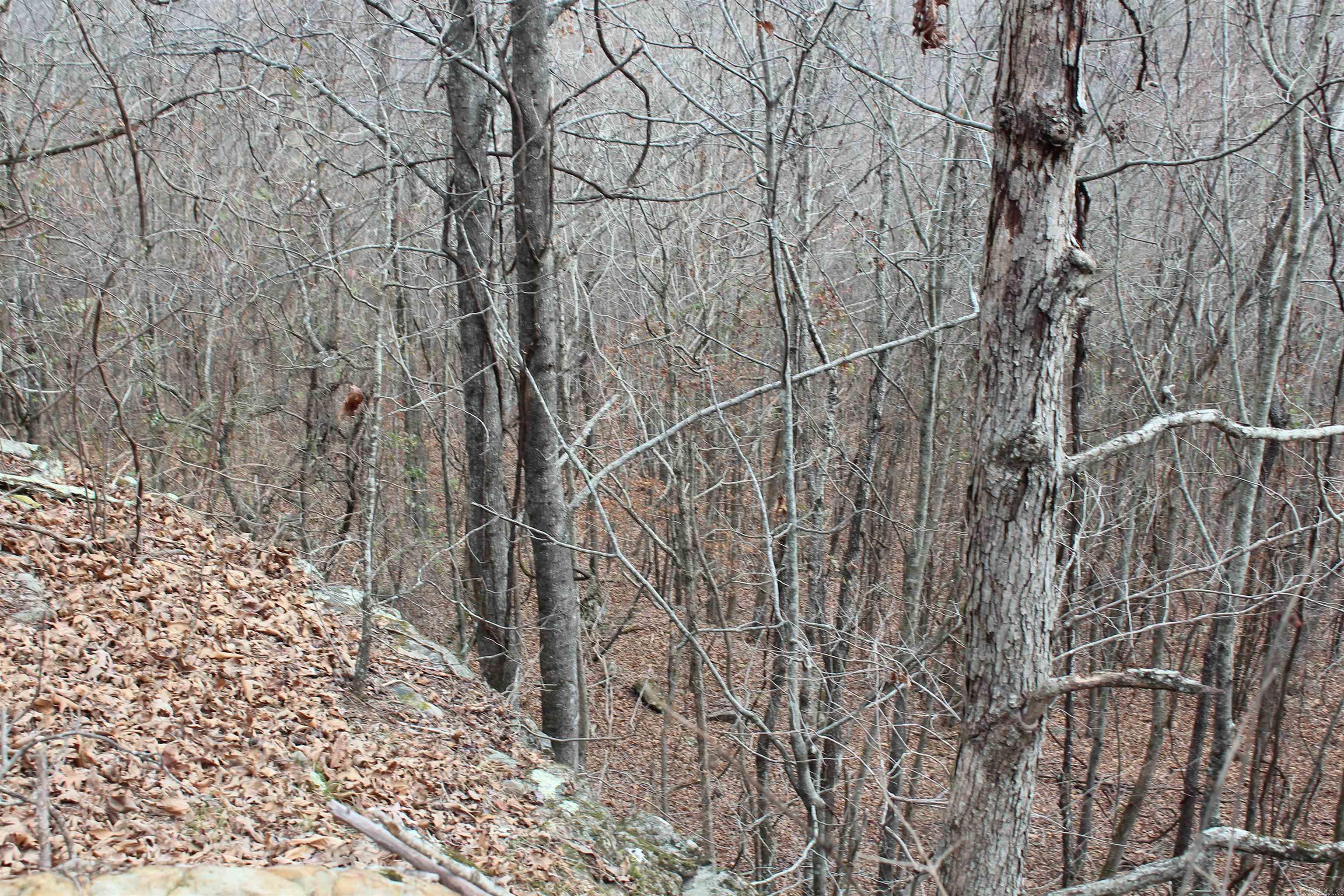 000 Old Brewer Rd  Edgemont, AR