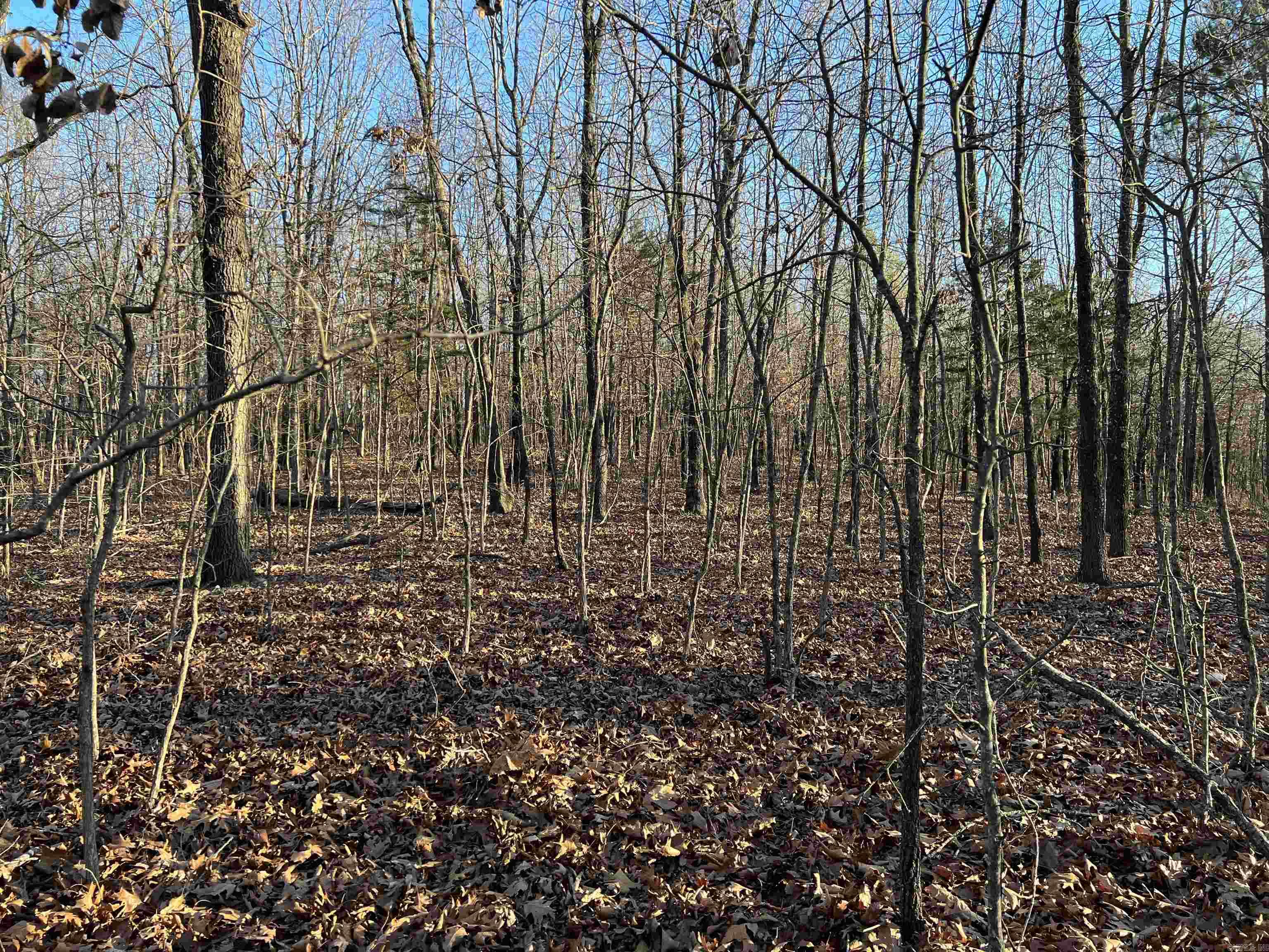  Prayer Mountain  Harrison, AR