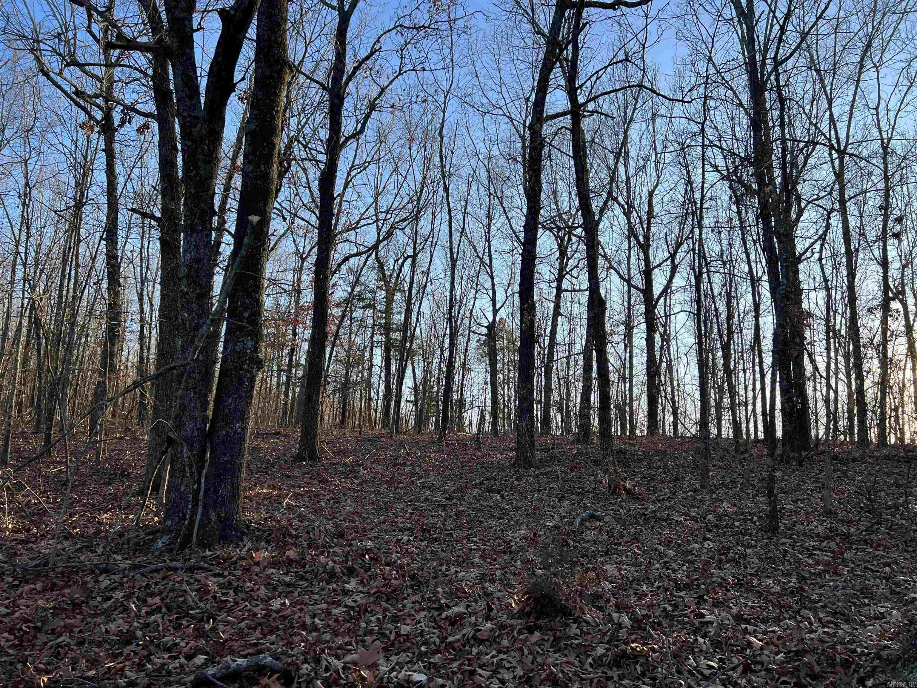  Prayer Mountain  Harrison, AR