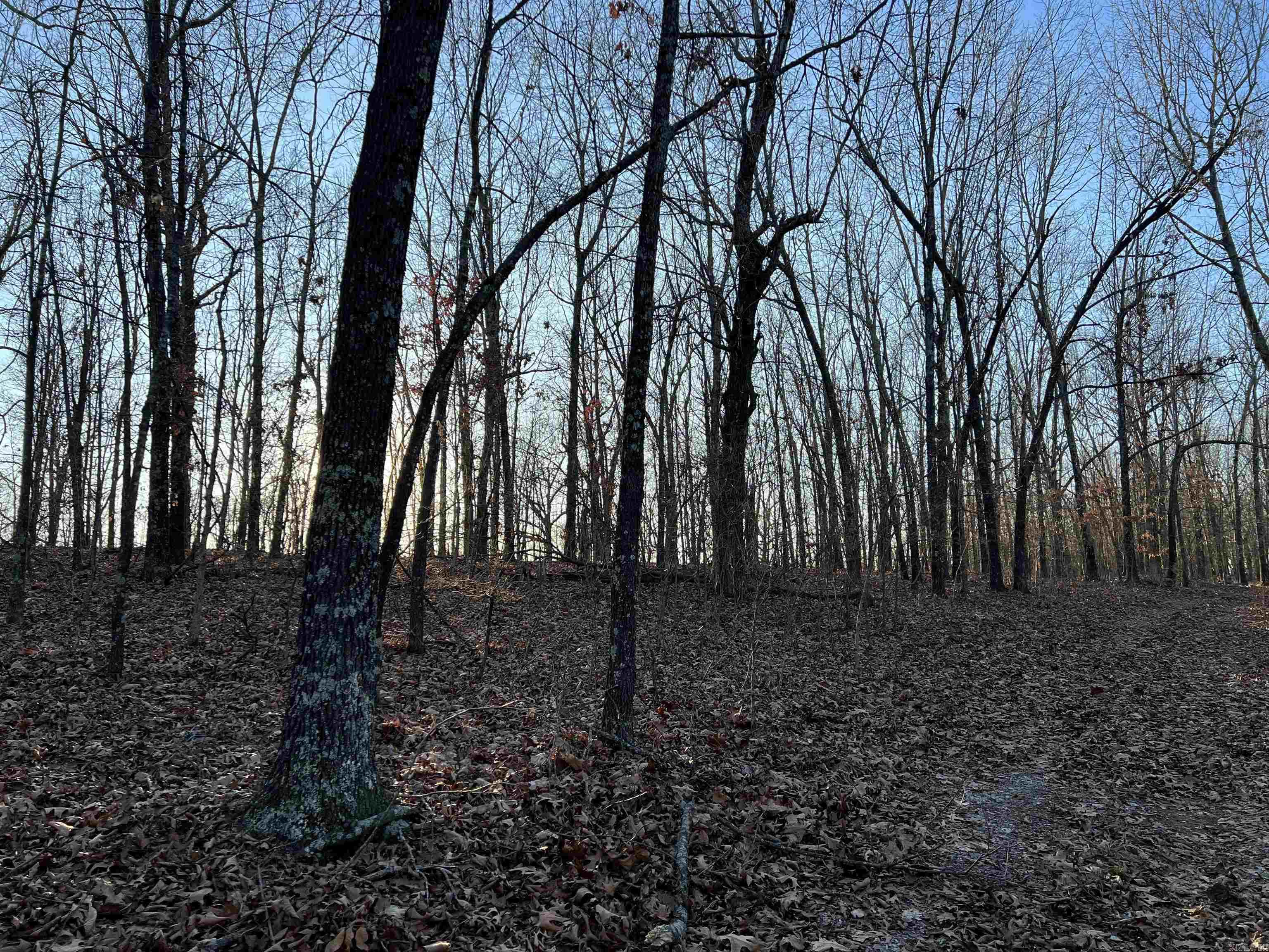  Prayer Mountain  Harrison, AR