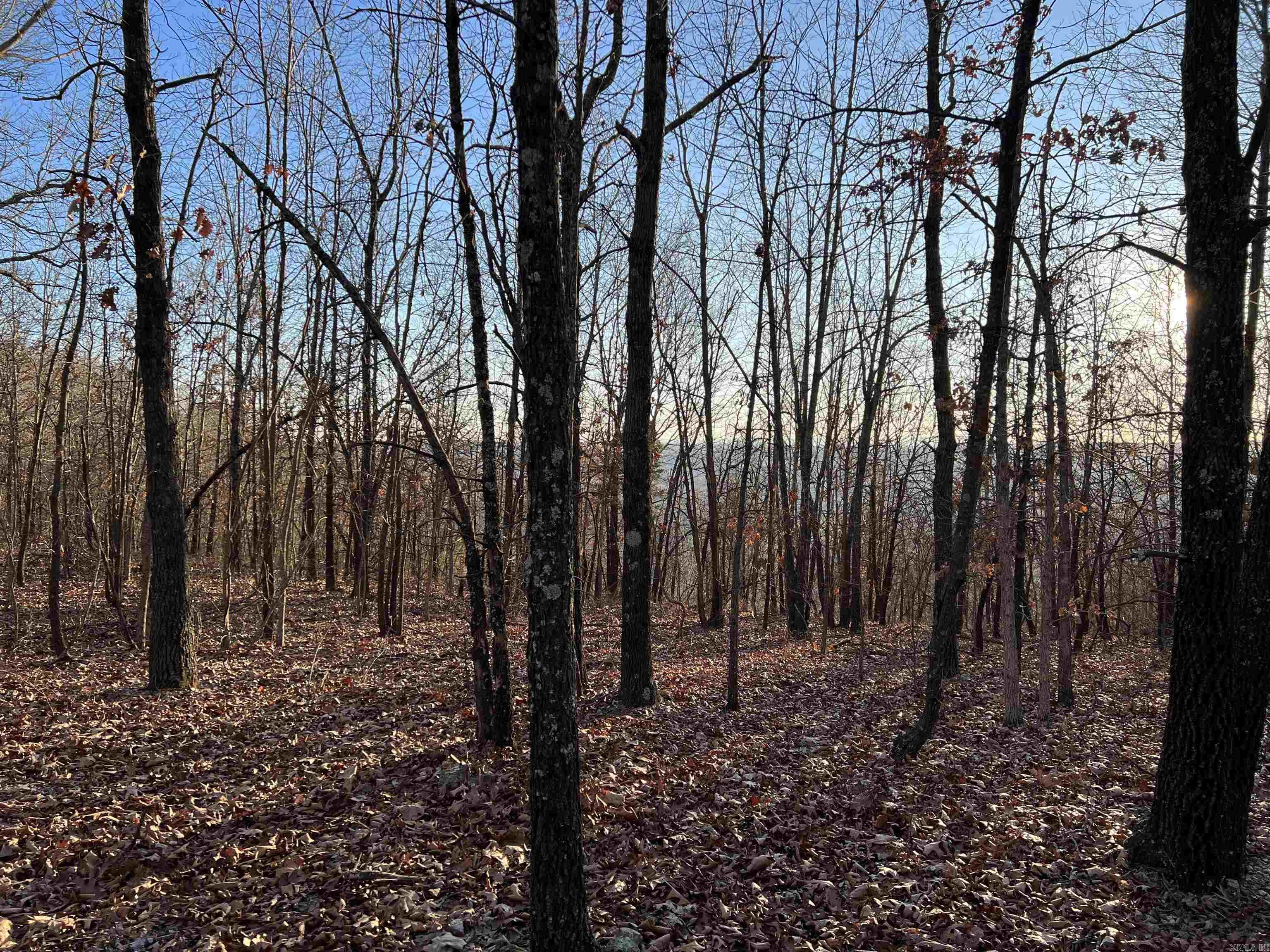  Prayer Mountain  Harrison, AR