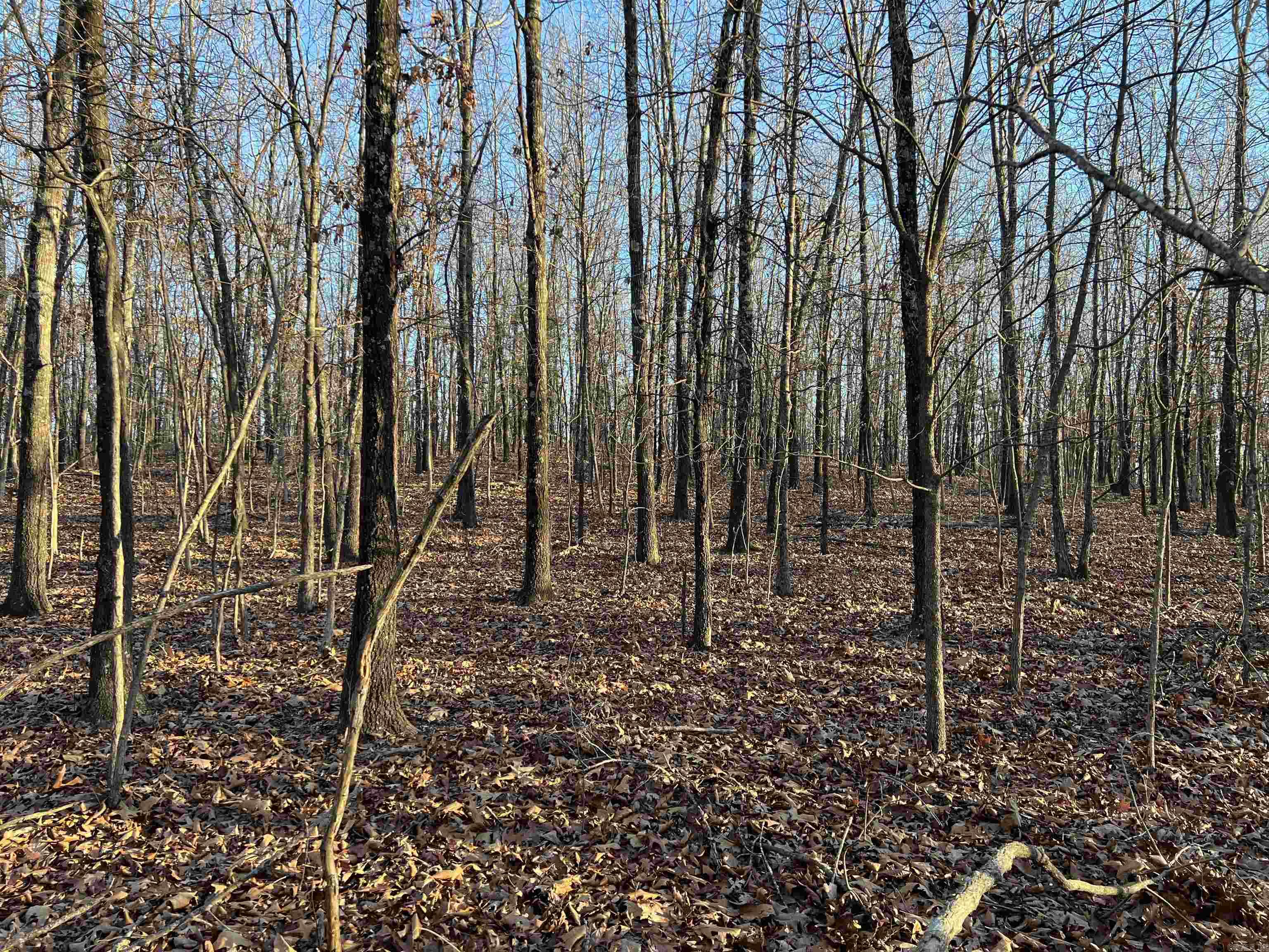  Prayer Mountain  Harrison, AR